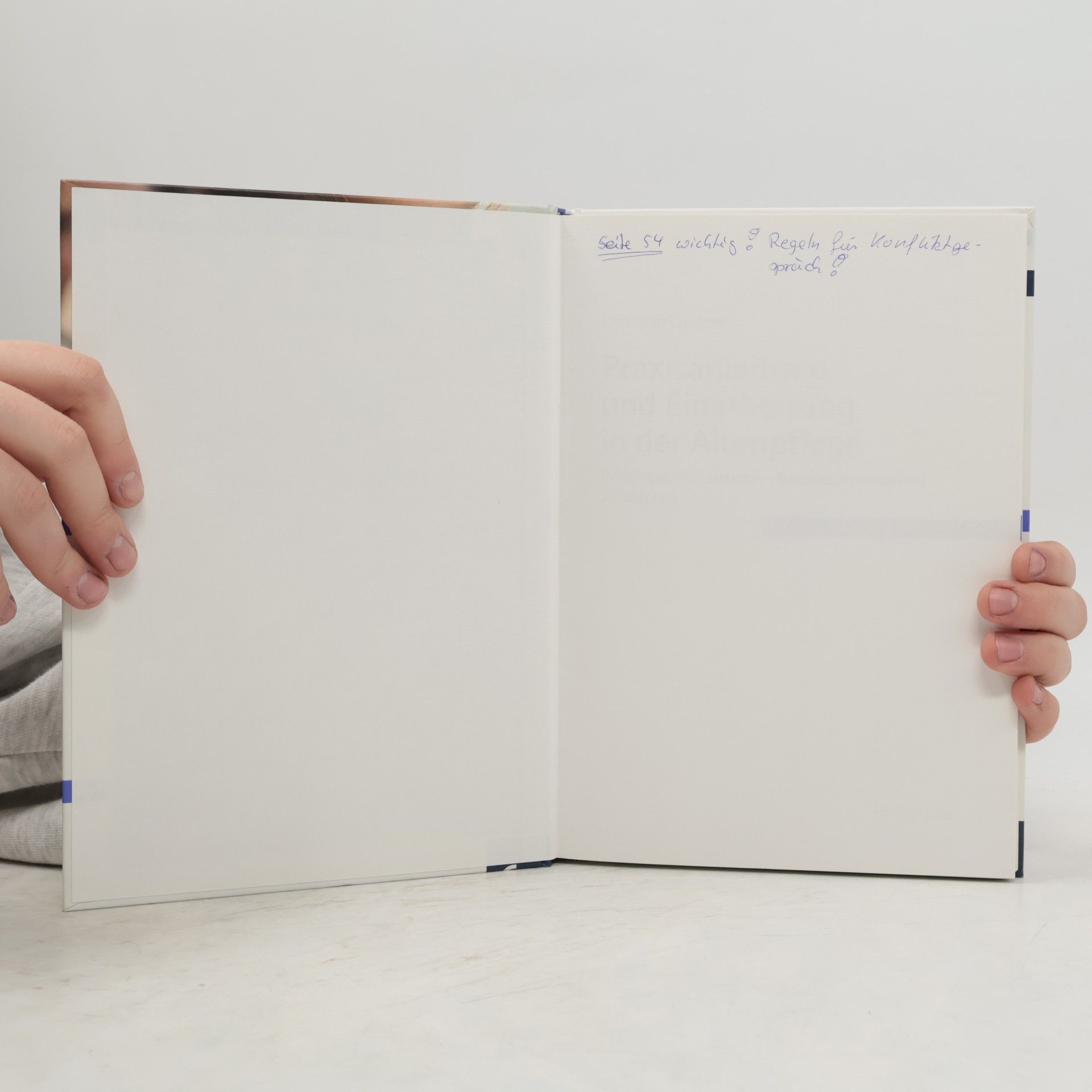 Christian Lummer Pflege - 3: Praxisanleitung und Einarbeitung in der Altenpflege