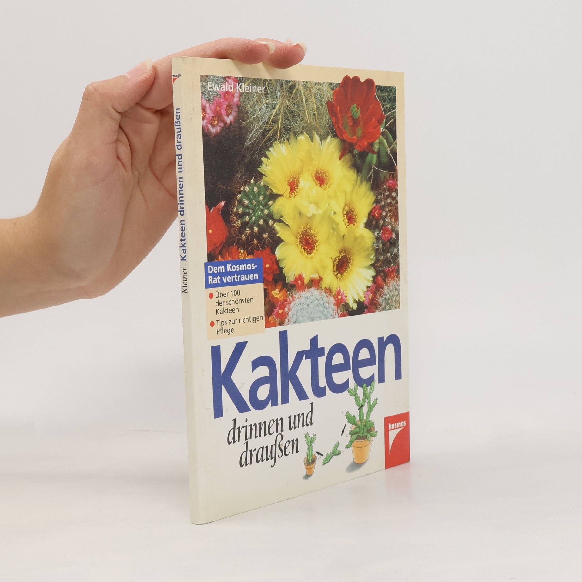 Kakteen drinnen und draußen
