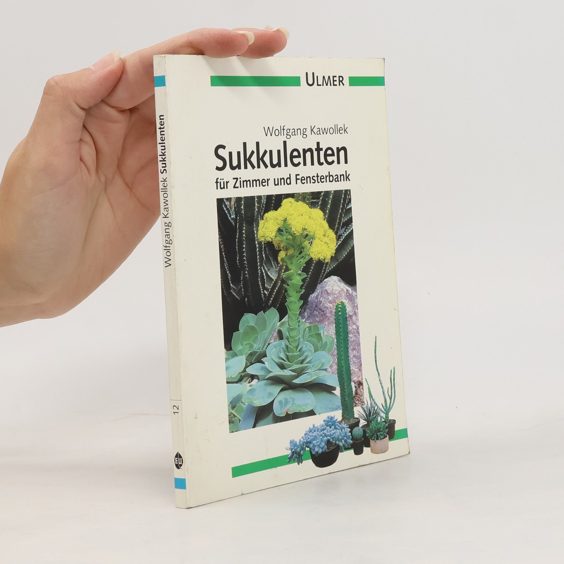Sukkulenten für Zimmer und Fensterbank