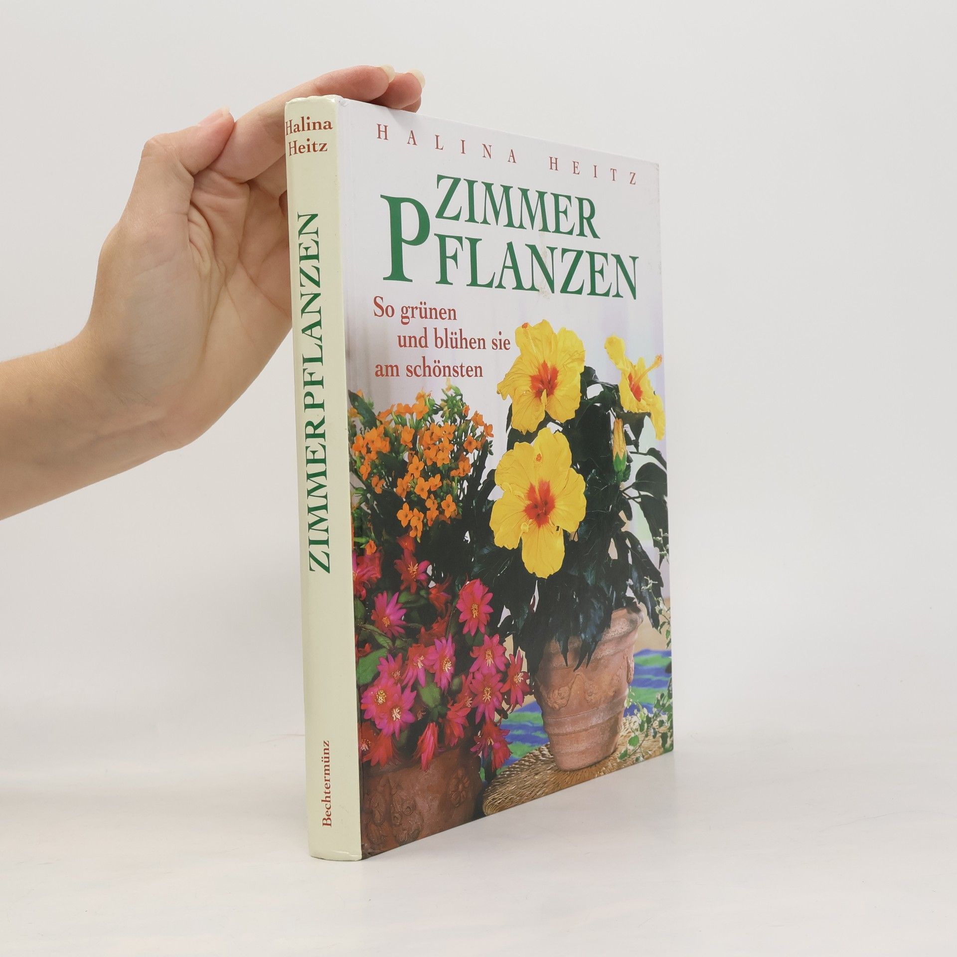 Zimmerpflanzen