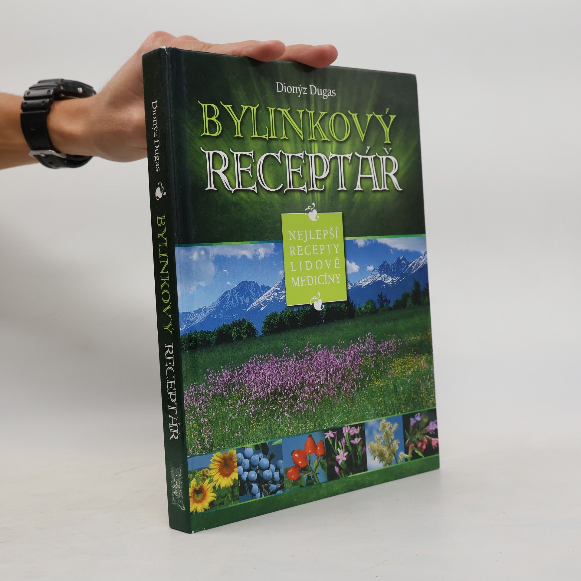 Bylinkový receptář : nejlepší recepty lidové medicíny