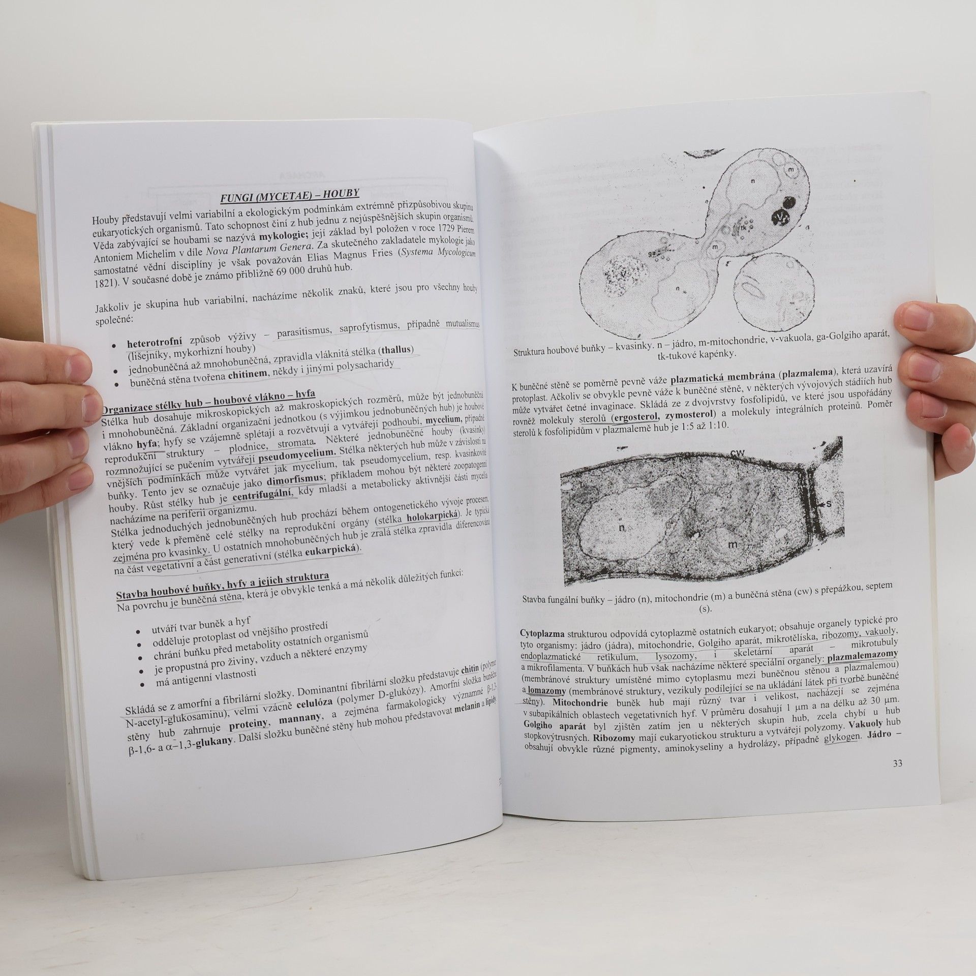 Petr Babula Archebakterie, bakterie, houby, protista