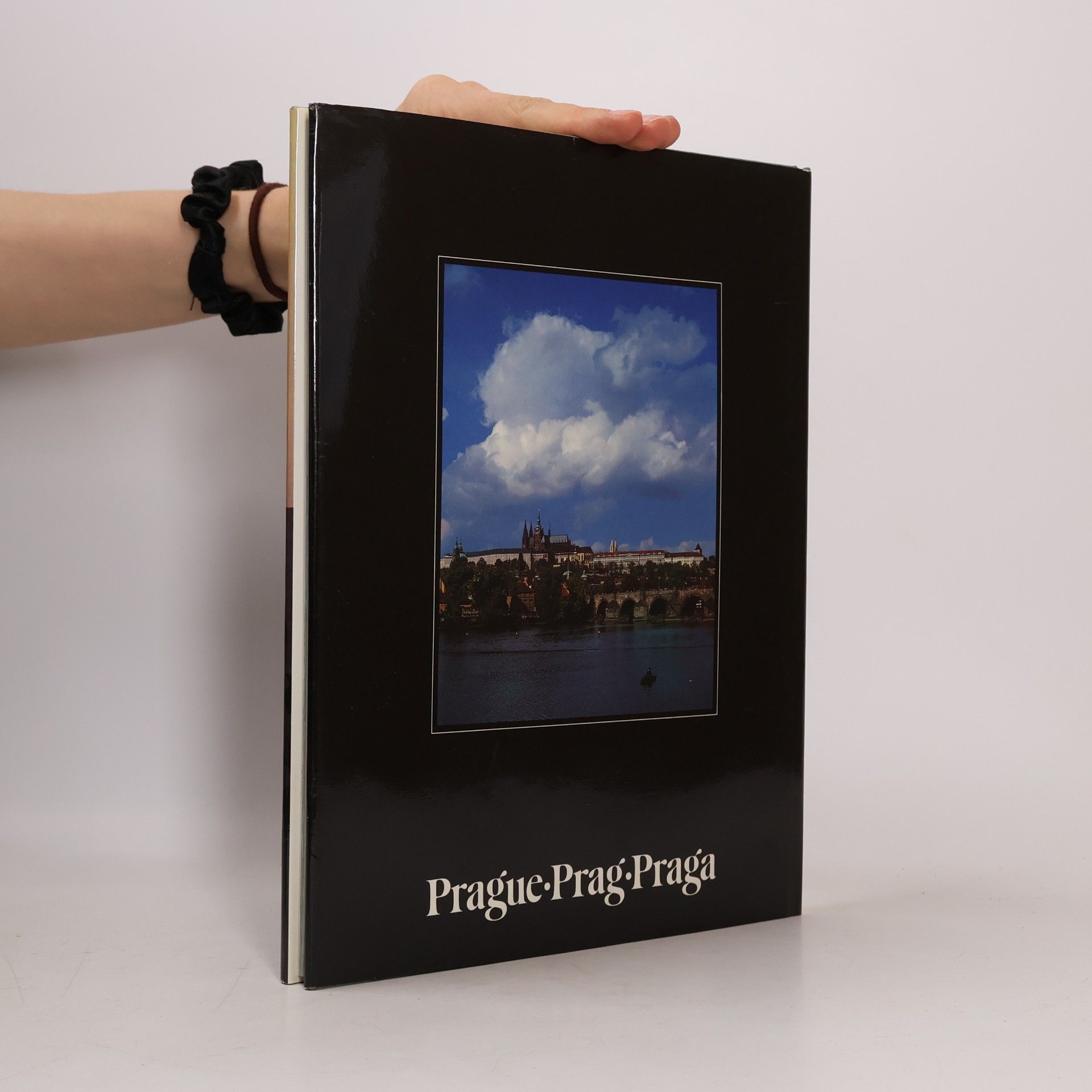 Jan Dvořák Magical Prague. Zauberhaftes Prag. Praga Magica