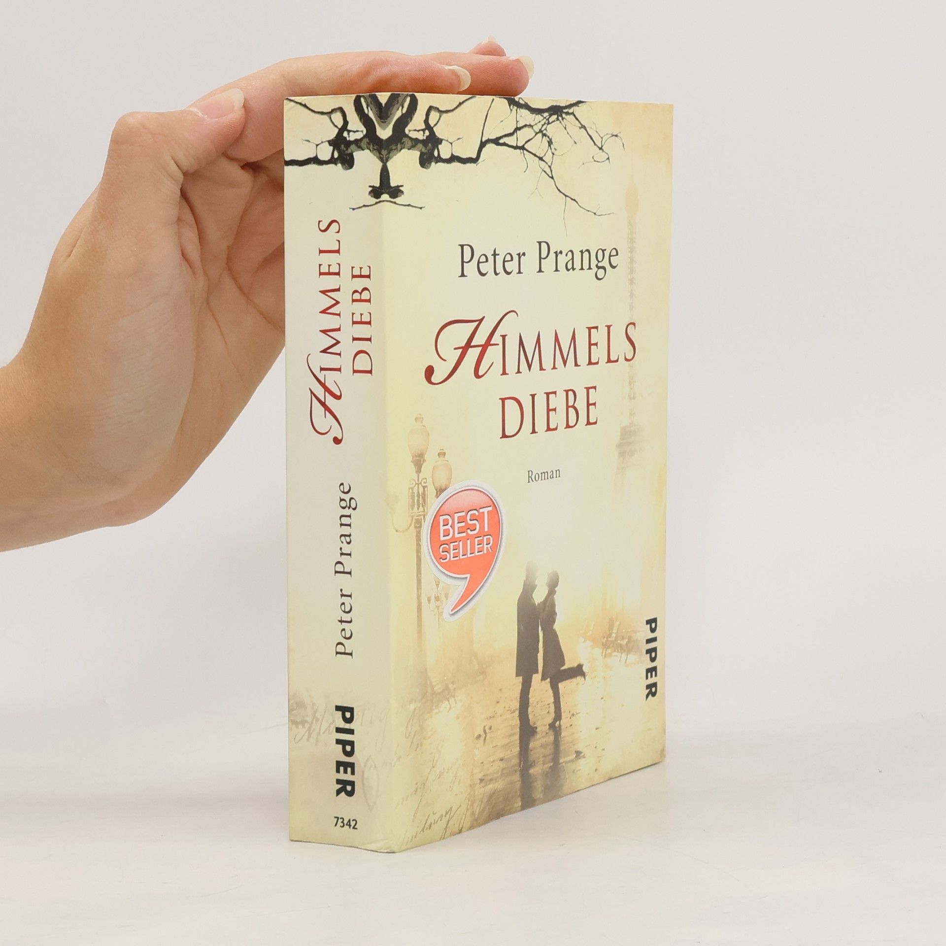 Peter Prange Himmels Diebe