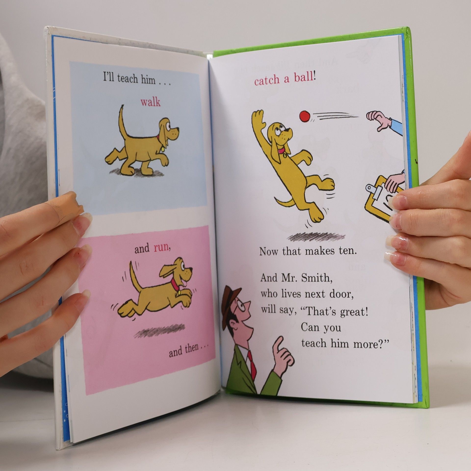 Michael K. Frith I'll Teach My Dog 100 Words