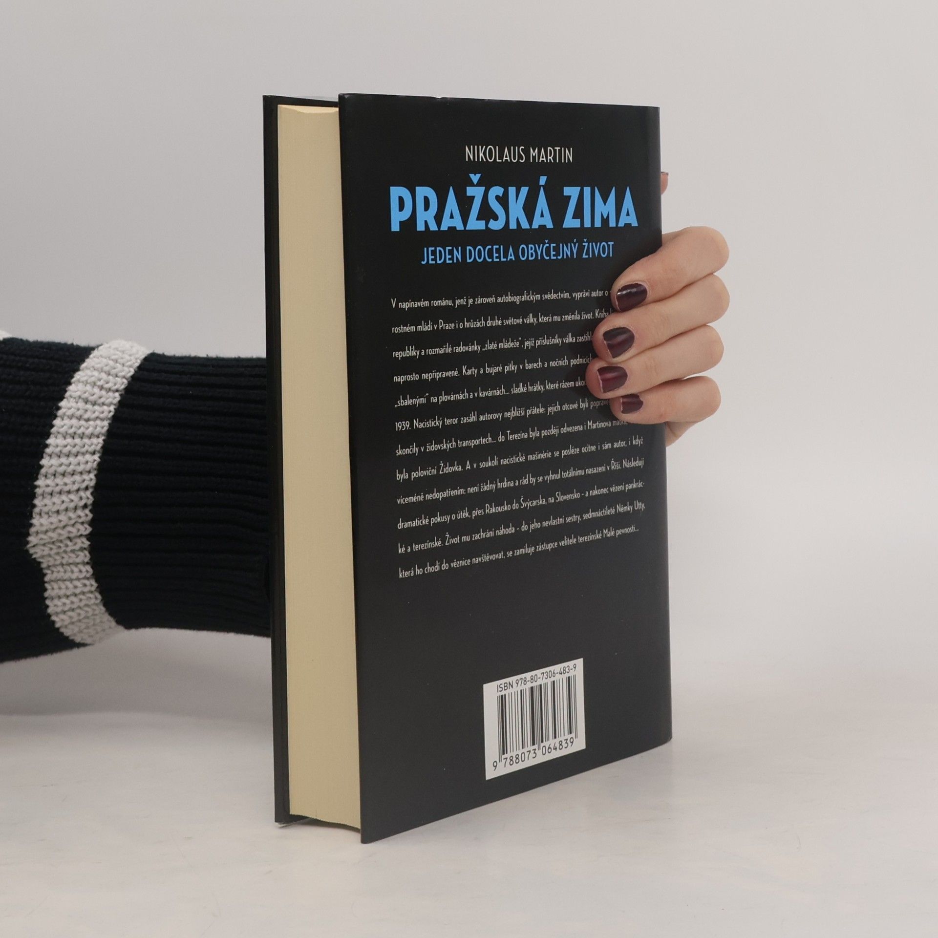 Nikolaus Martin Pražská zima. Jeden docela obyčejný život