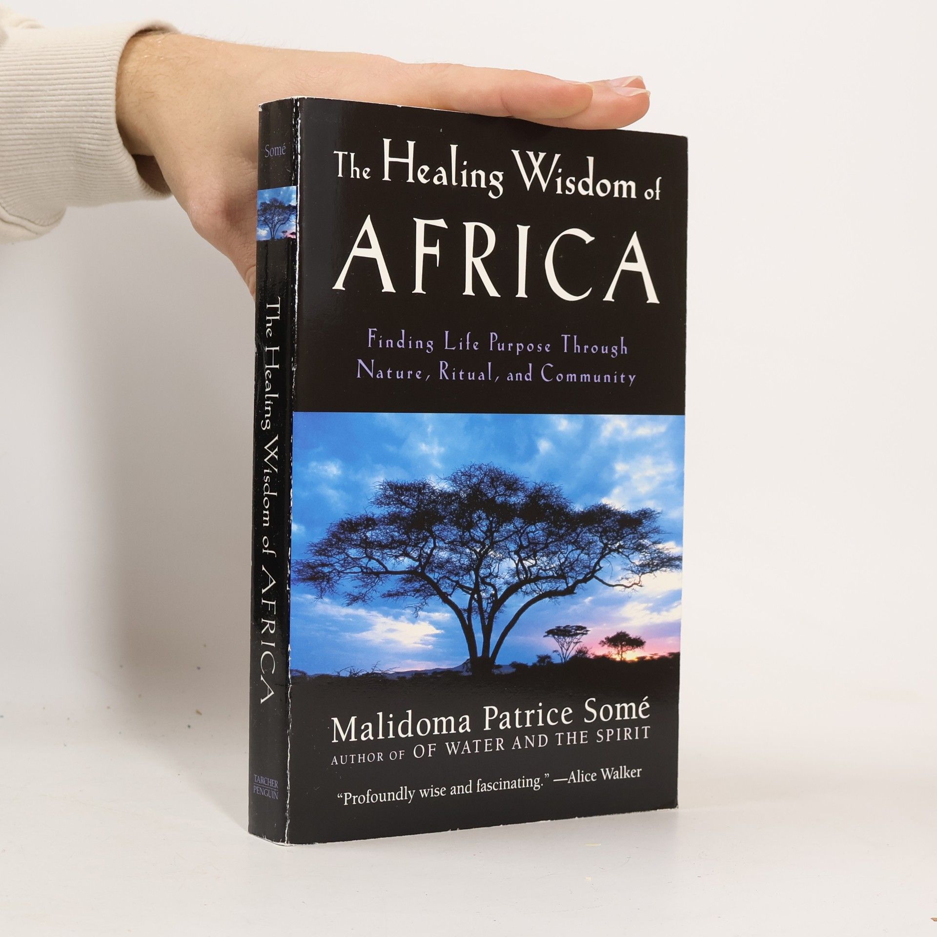 The Healing Wisdom of Africa