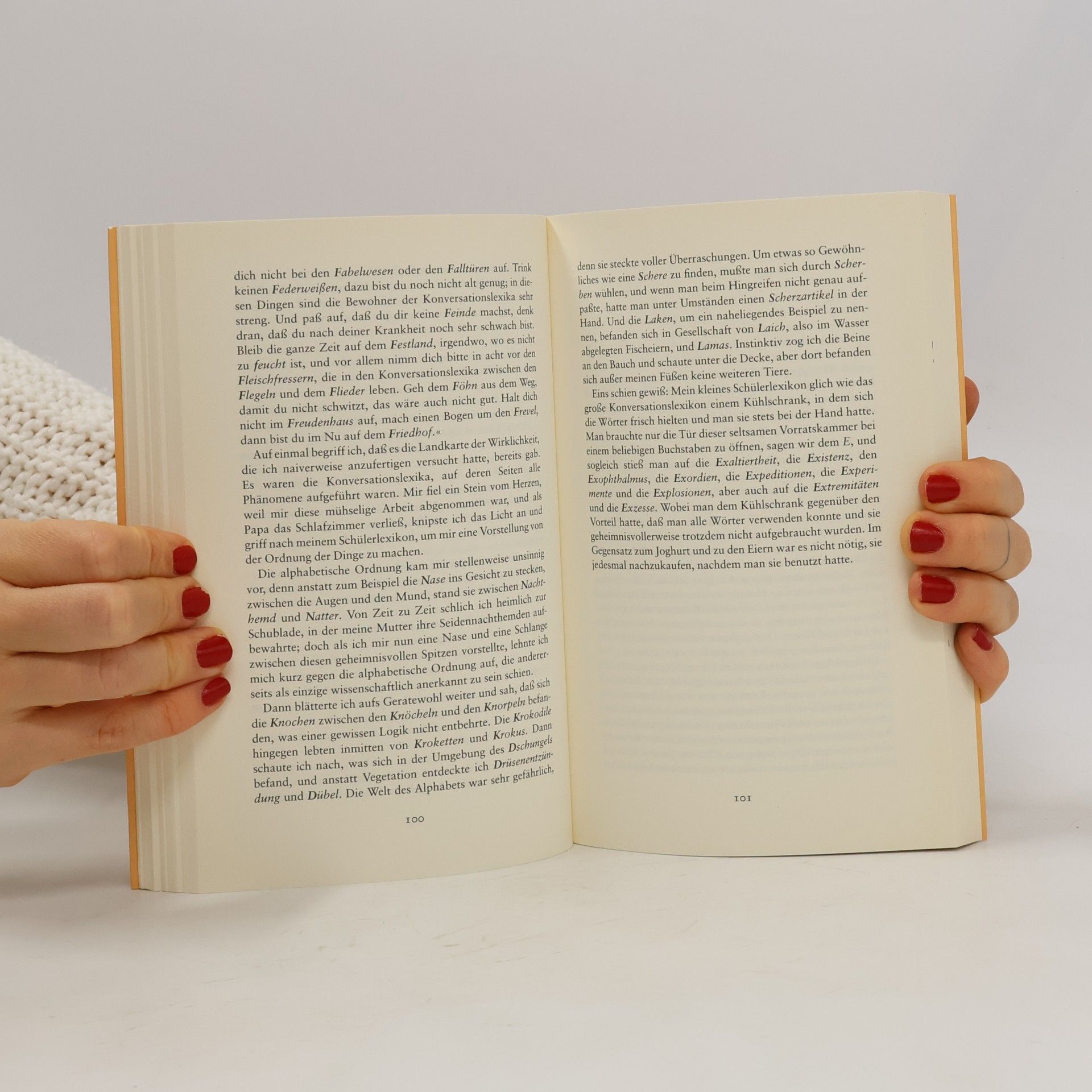 Juan José Millás García Die alphabetische Ordnung. Roman