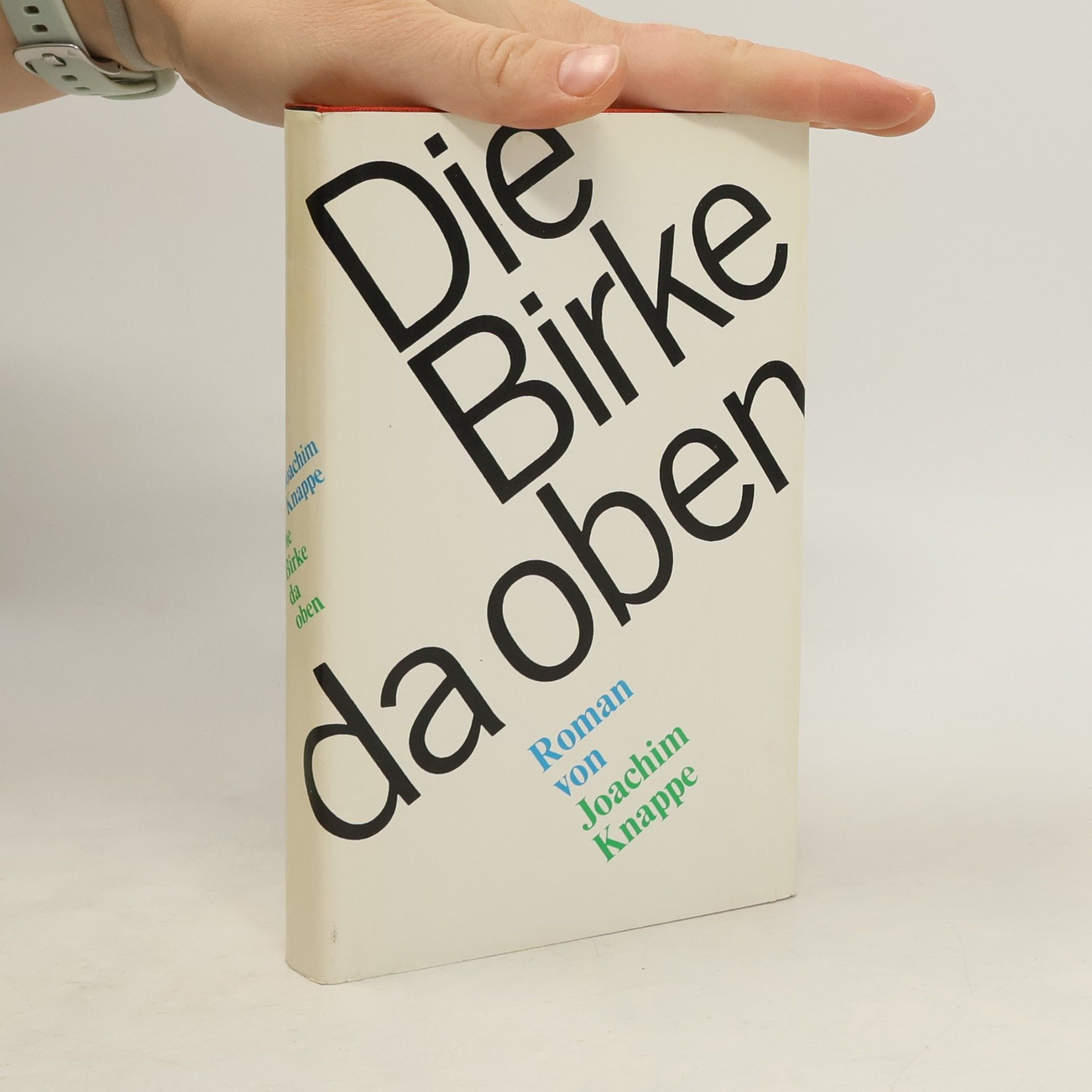 Hans-Joachim Knappe Die Birke da oben