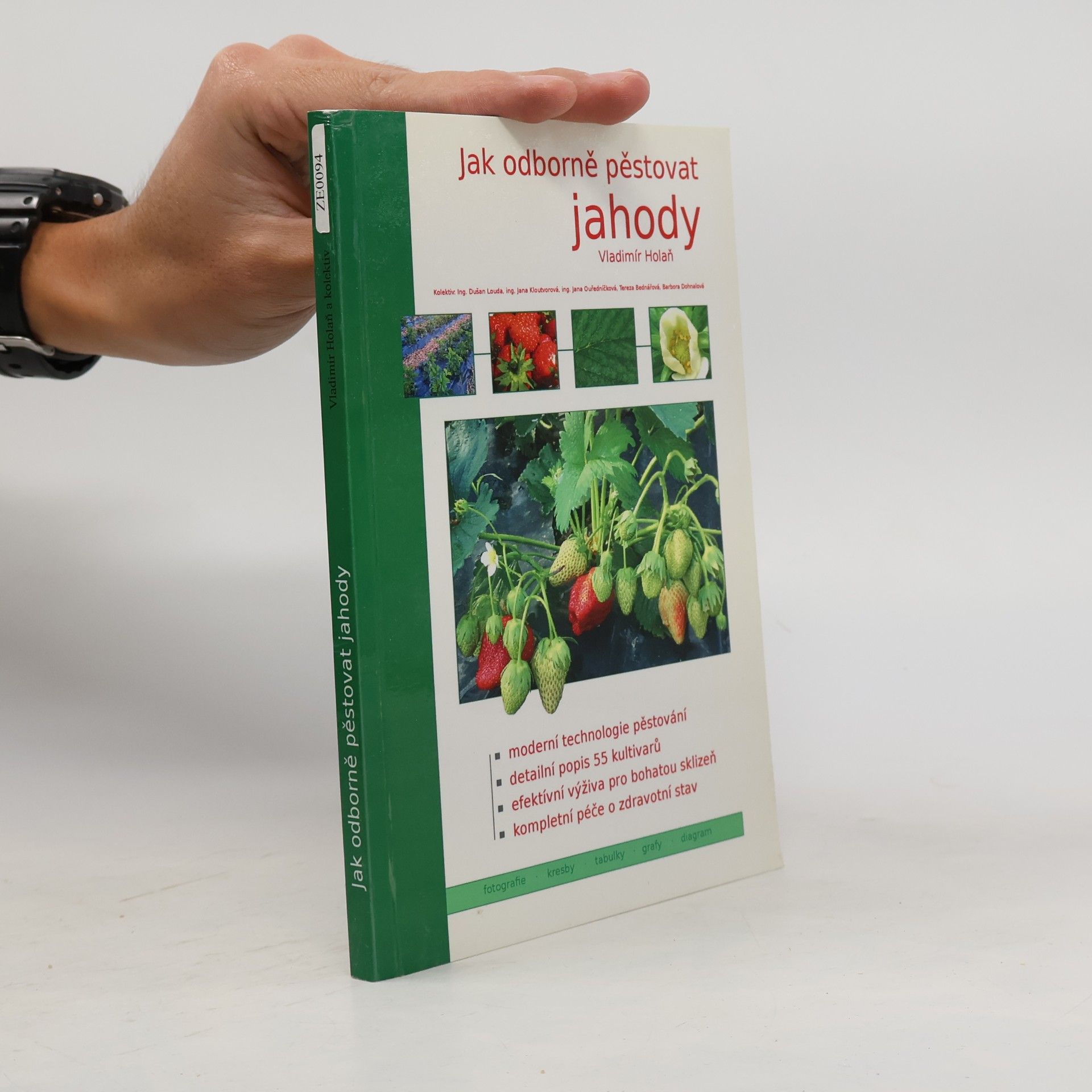 Vladimír Holan Jak odborně pěstovat jahody