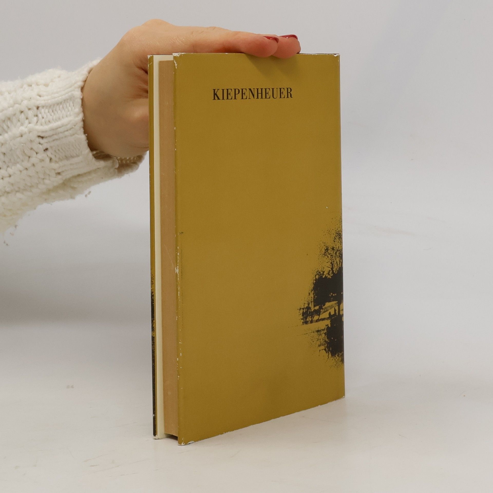 Alphonse Daudet Dreissig Jahre Paris