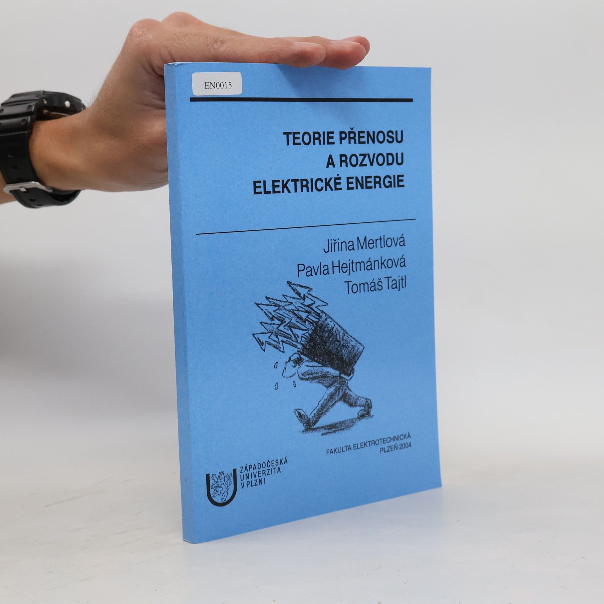 Teorie přenosu a rozvodu elektrické energie
