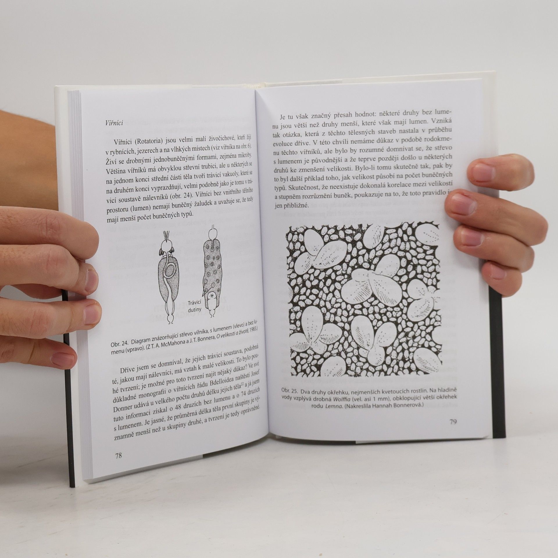 John Tyler Bonner Na velikosti záleží