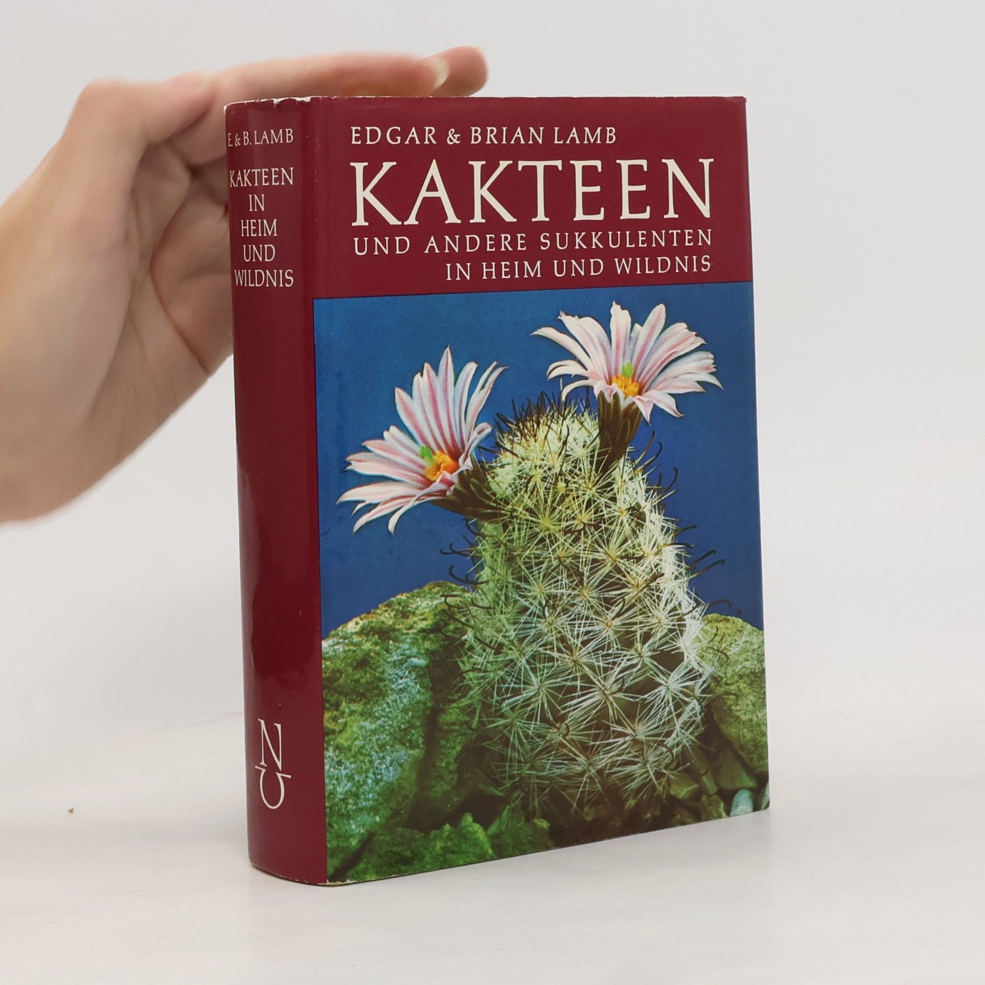 Kakteen