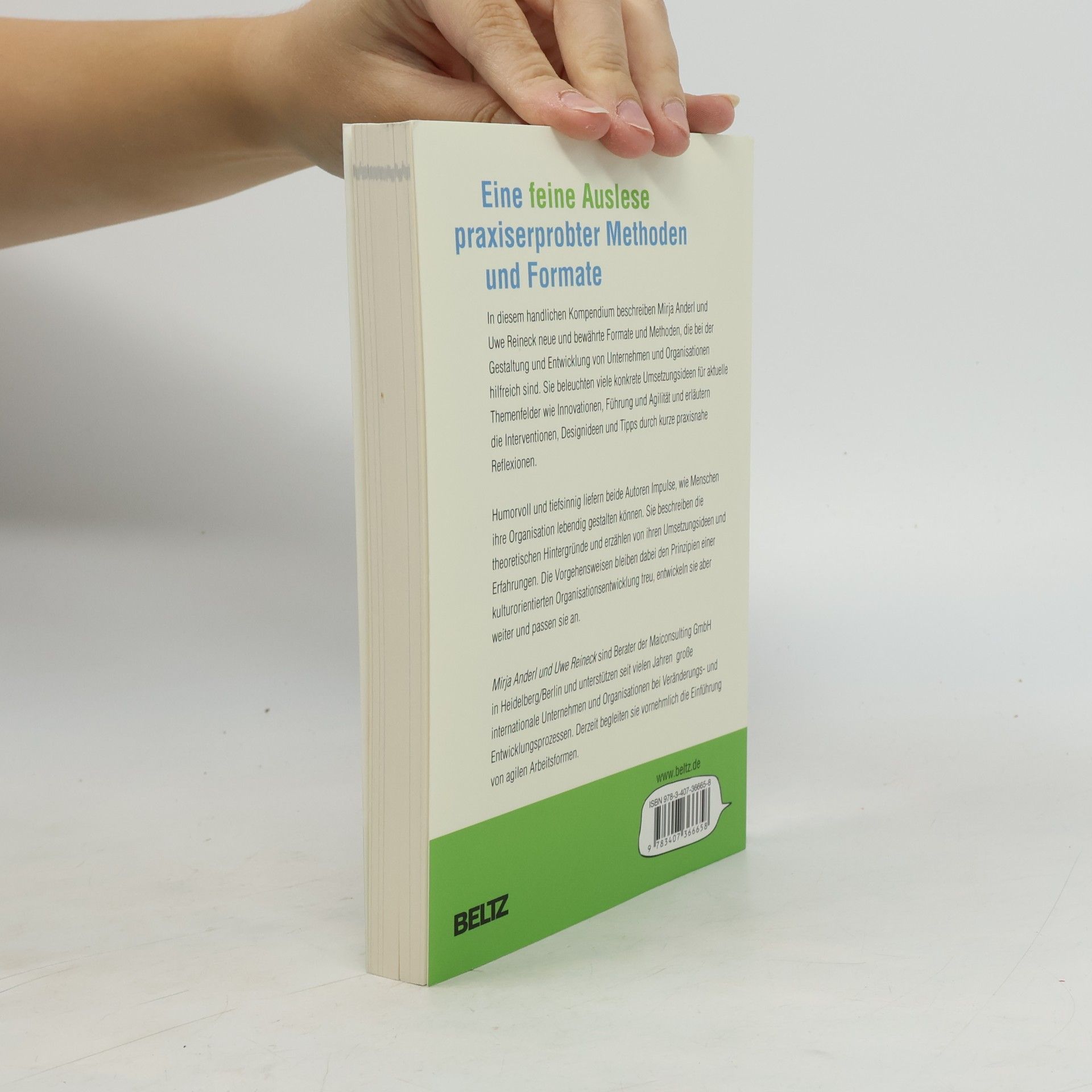 Mirja Anderl Mini-Handbuch Organisationsentwicklung