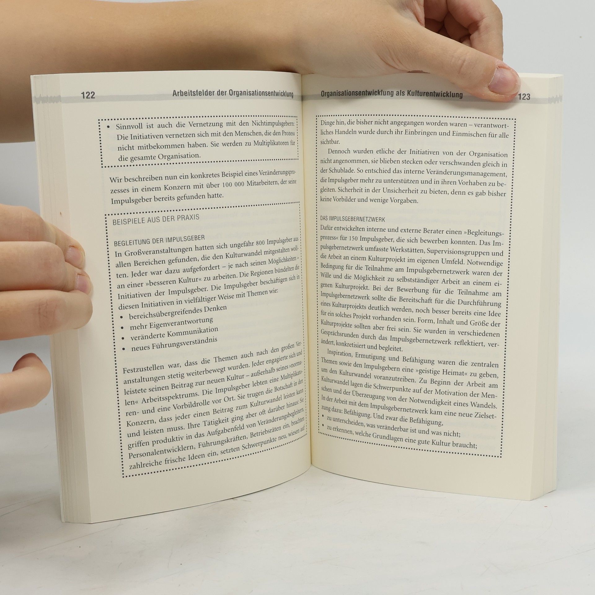 Mirja Anderl Mini-Handbuch Organisationsentwicklung