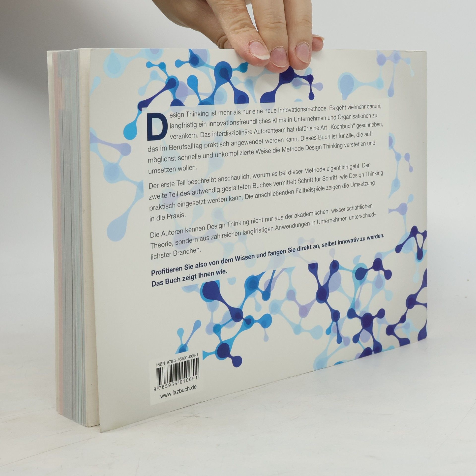 Falk Uebernickel Design Thinking, das Handbuch