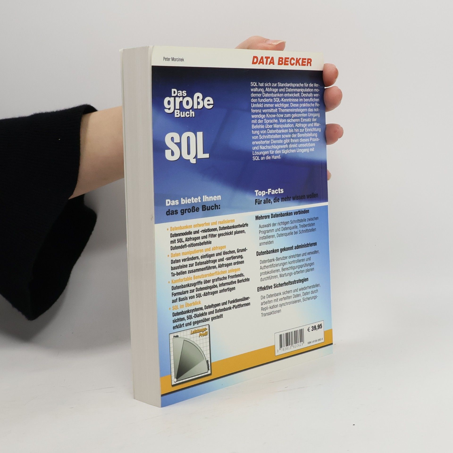 Peter Morcinek Das große Buch SQL