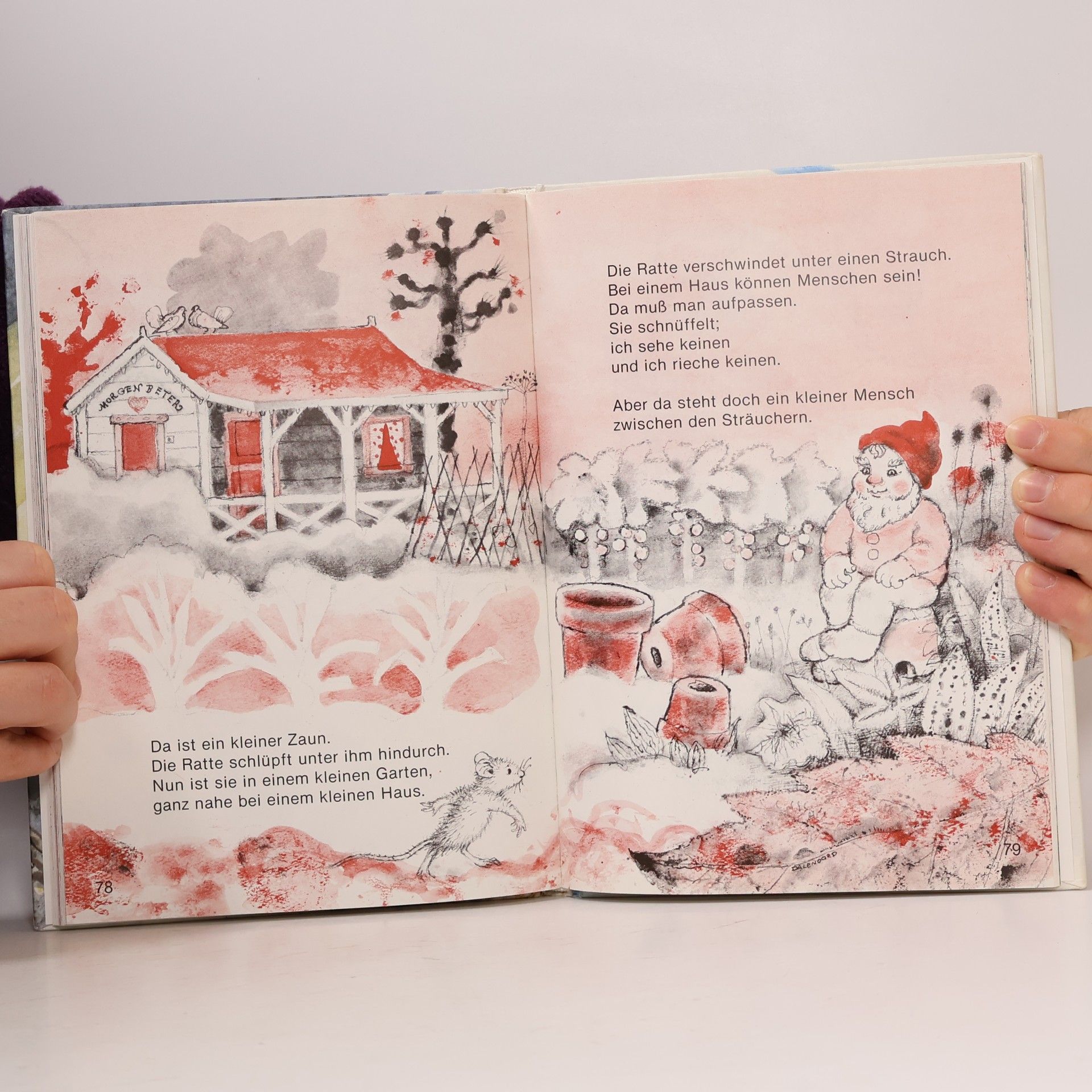 Jenny Dalenoord Wo sind Maus und Maulwurf? Eine Kindergeschichte für Leseanfänger - 1. Auflage