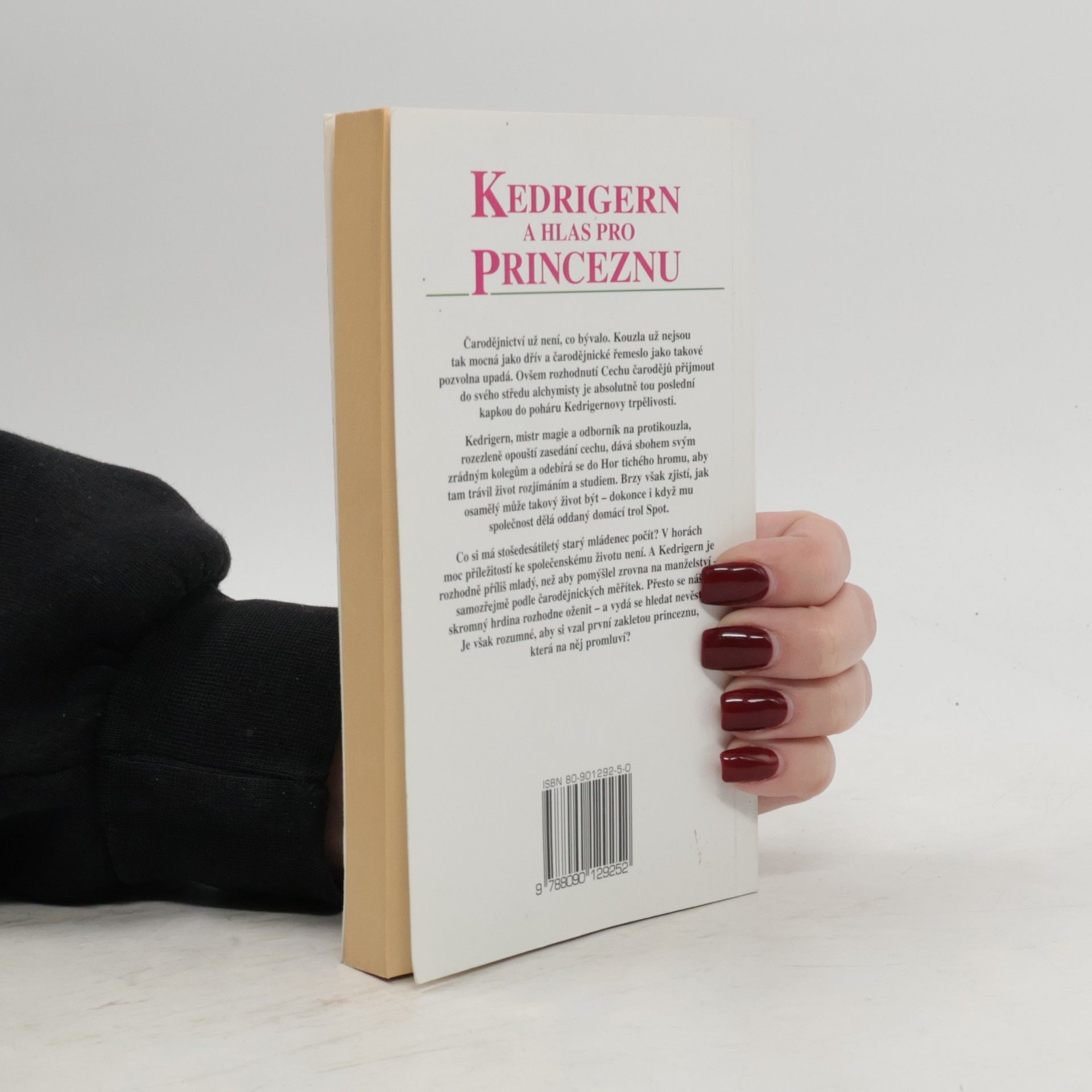 John Morressy Kedrigern a hlas pro Princeznu