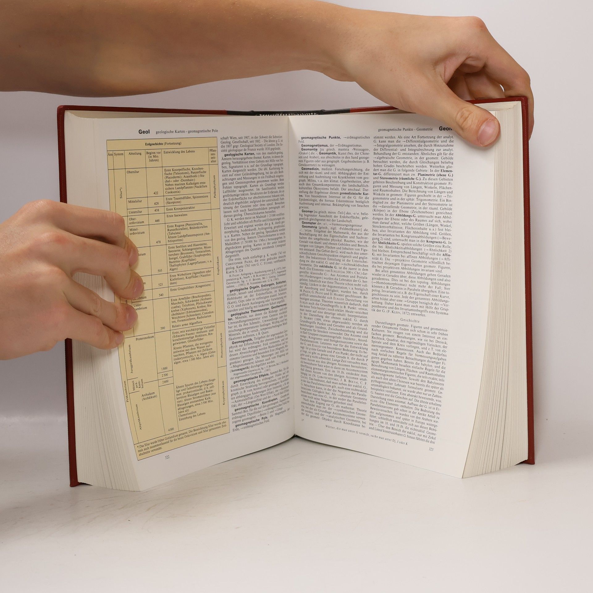 Autores varios Brockhaus Enzyklopädie 8. Fru-Gos