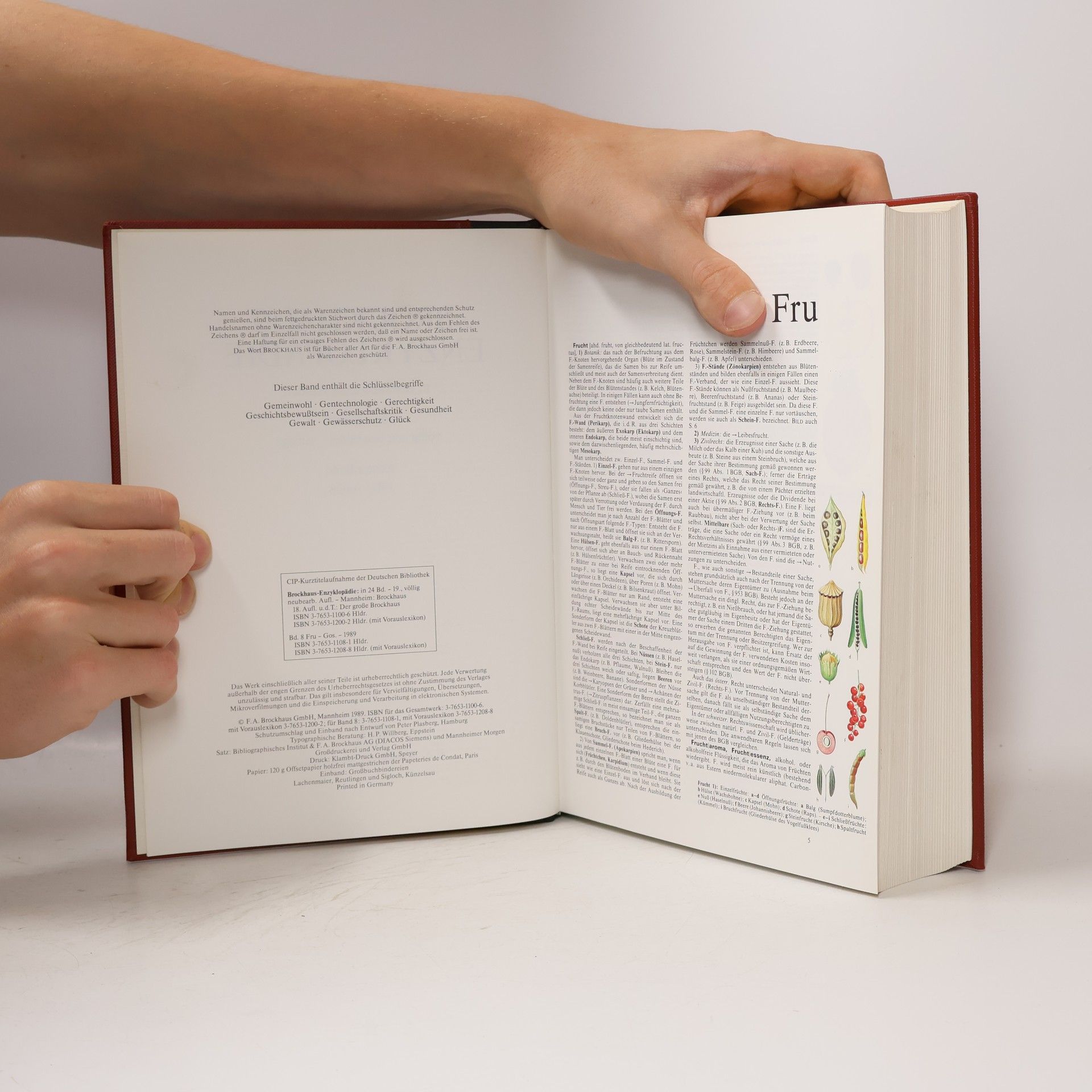 Autores varios Brockhaus Enzyklopädie 8. Fru-Gos