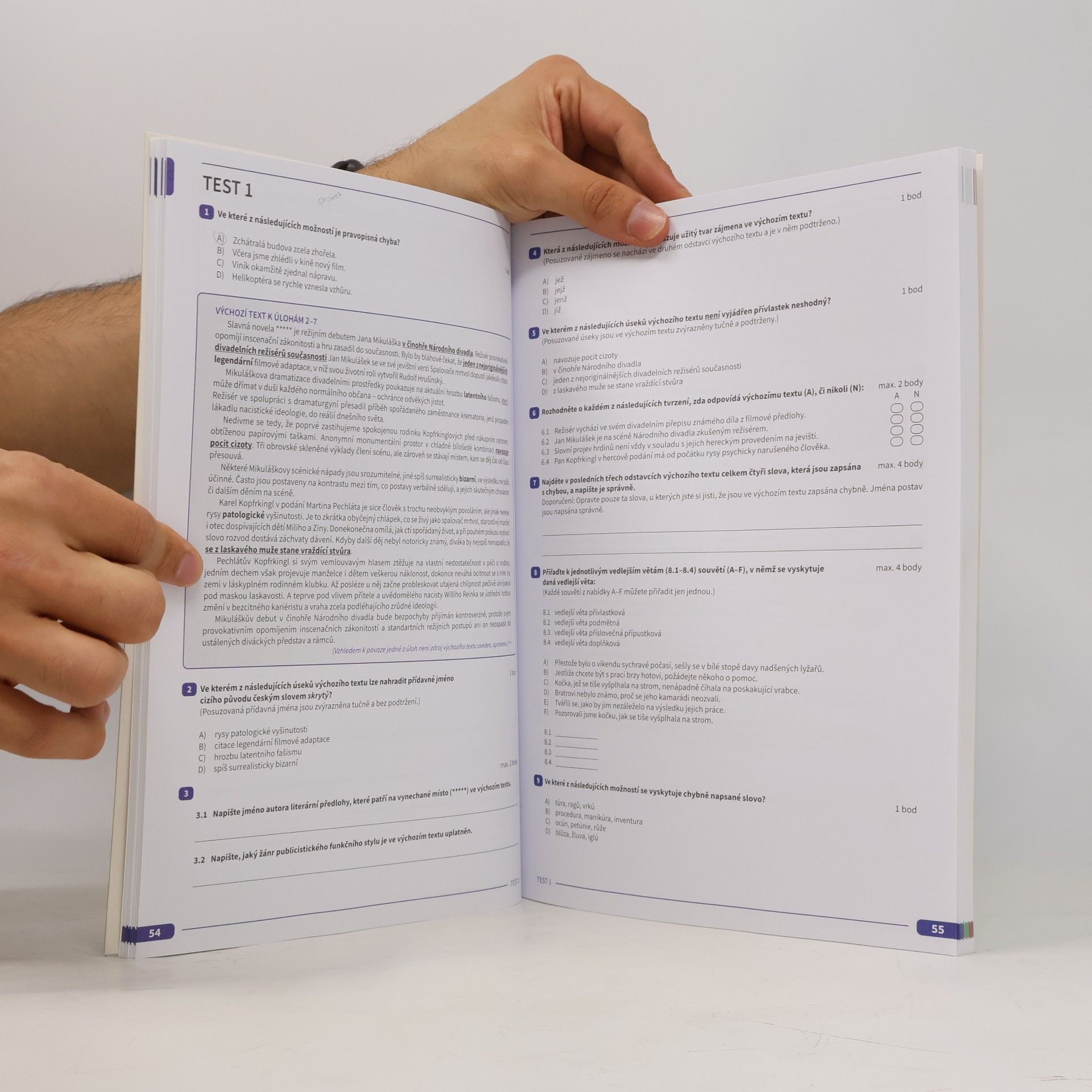 Auteurscollectief Maturita v pohodě. Český jazyk a literatura