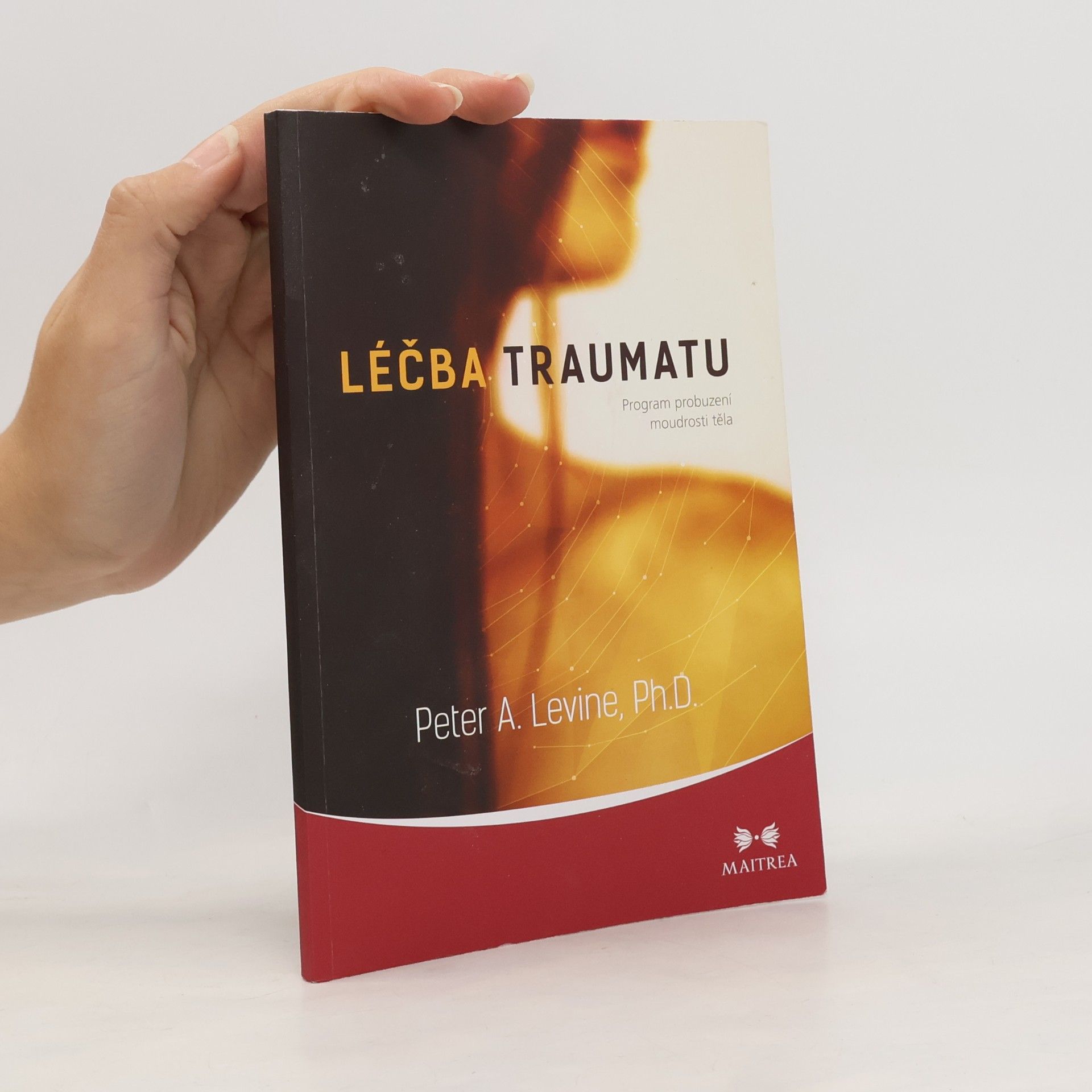 Léčba traumatu