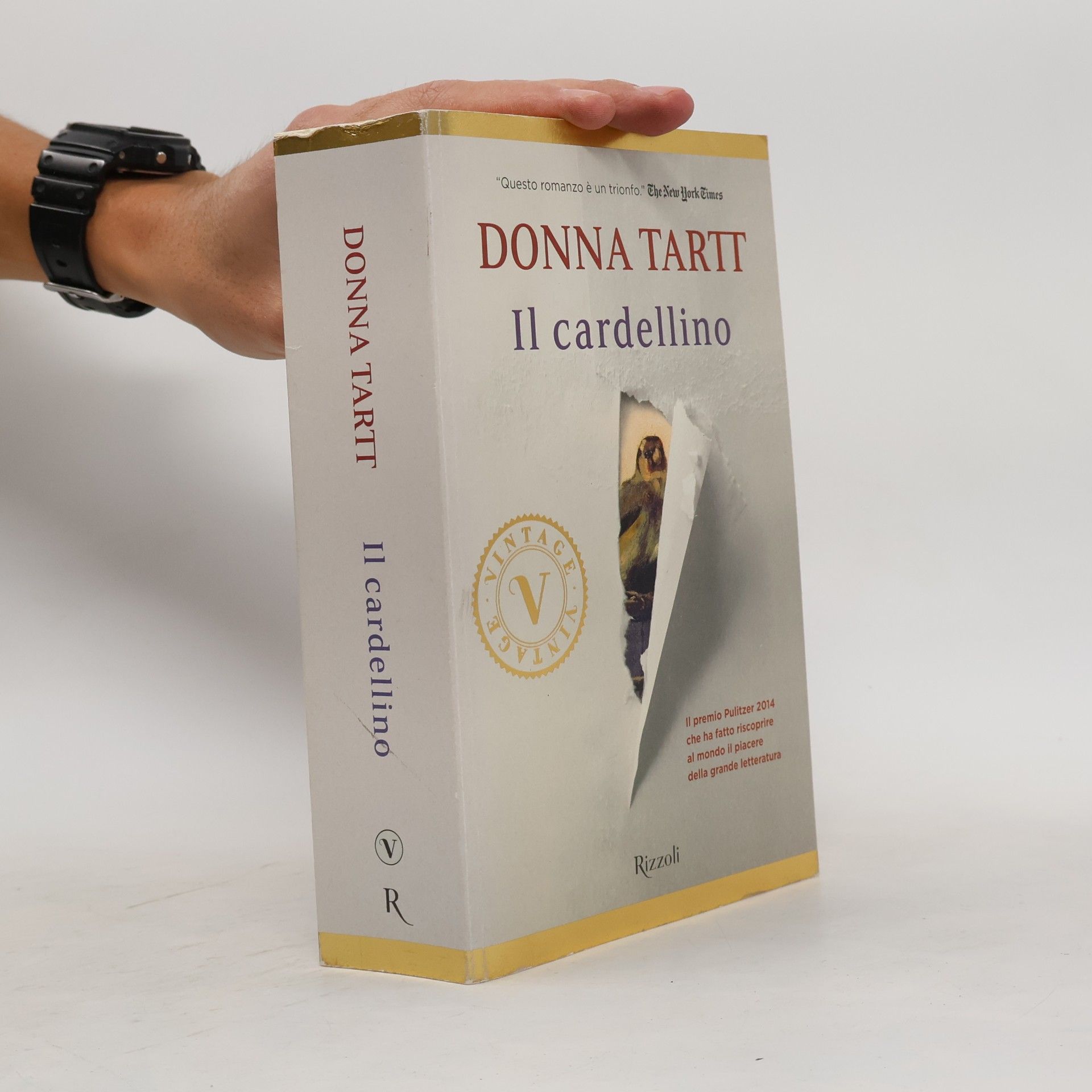 Donna Tartt Vintage: Il cardellino