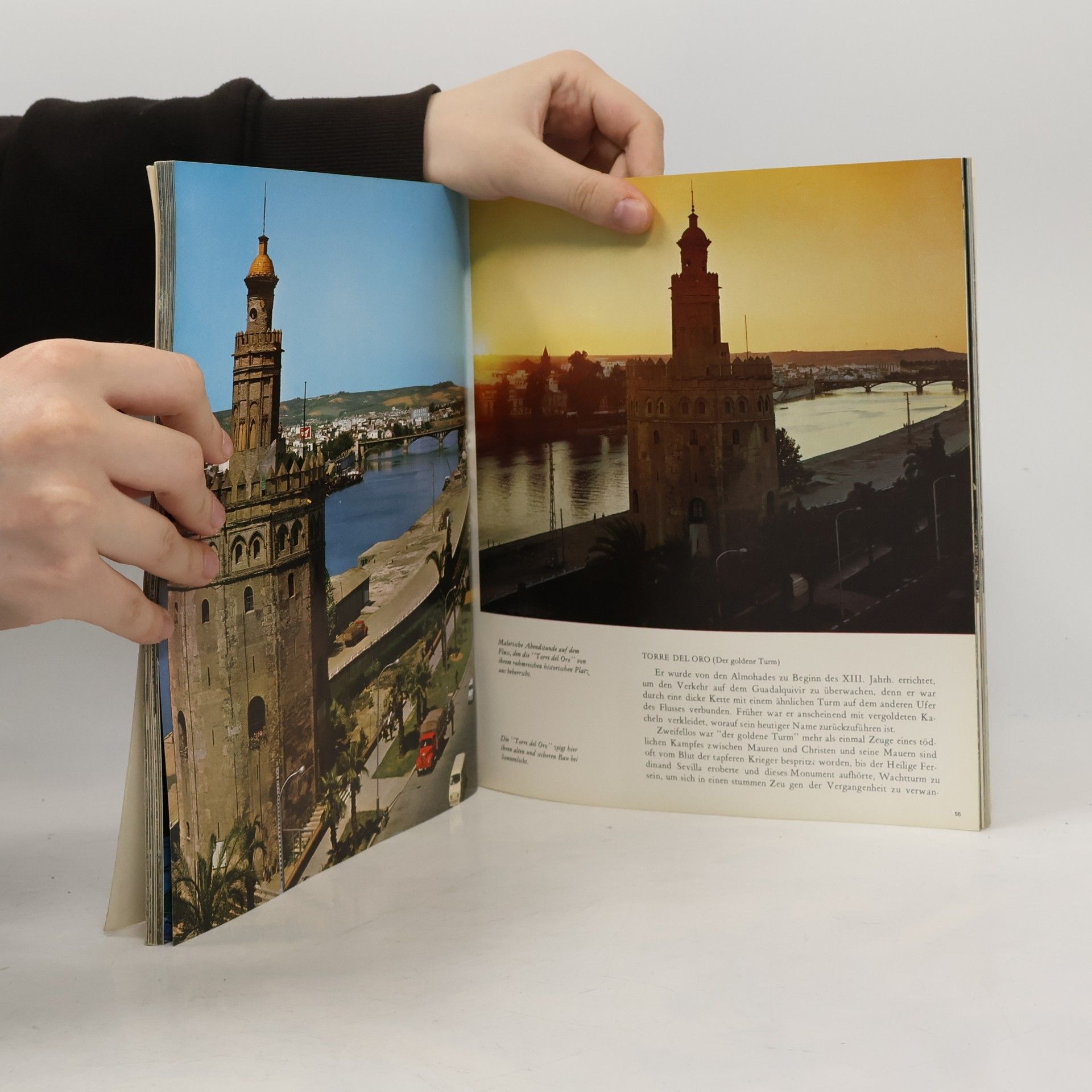 Autores varios Ganz Sevilla
