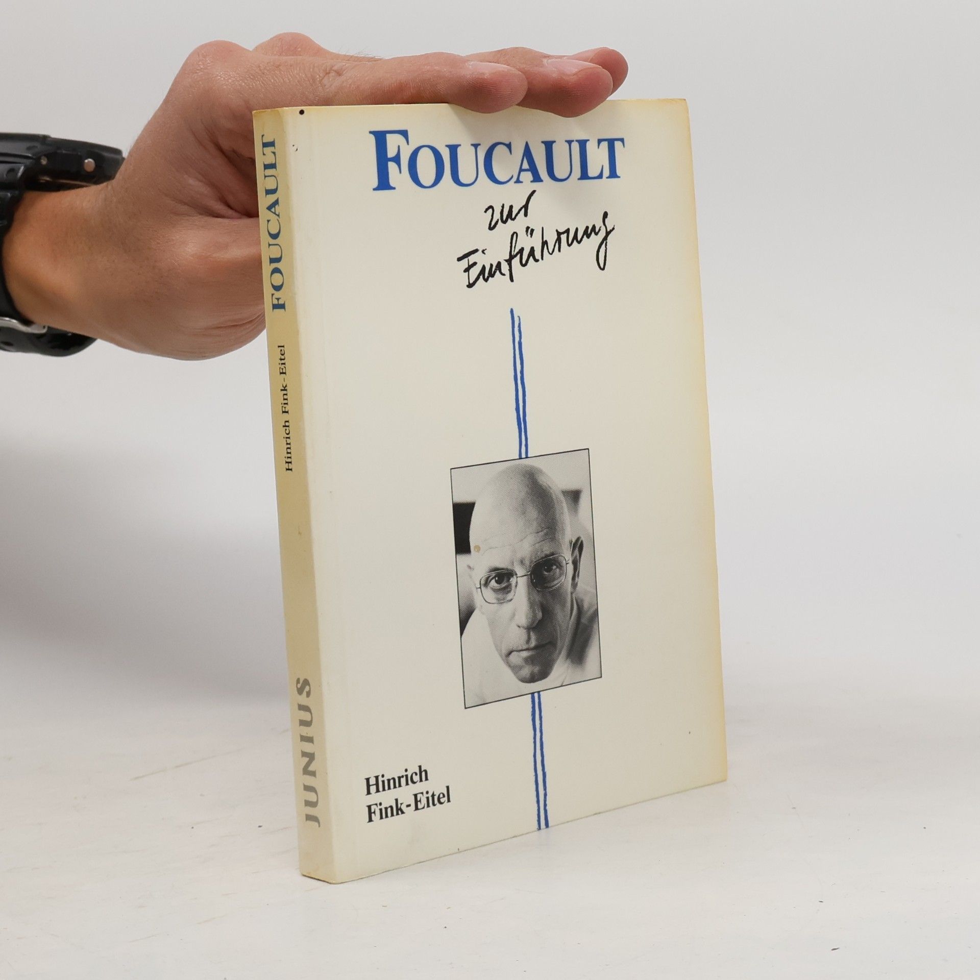 Foucault zur Einführung
