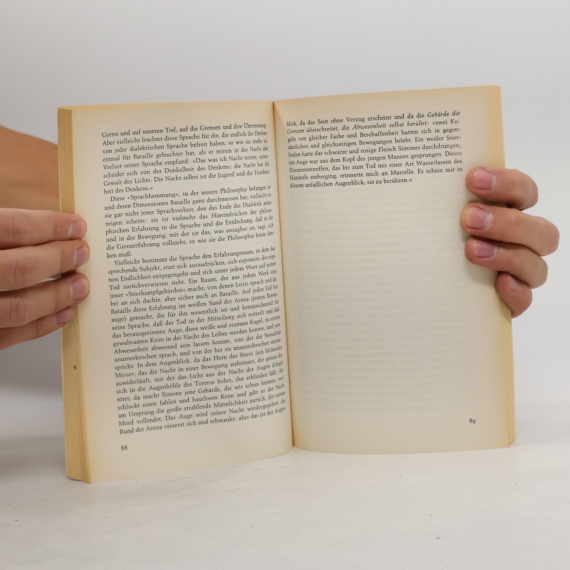 Michel Foucault Schriften zur Literatur