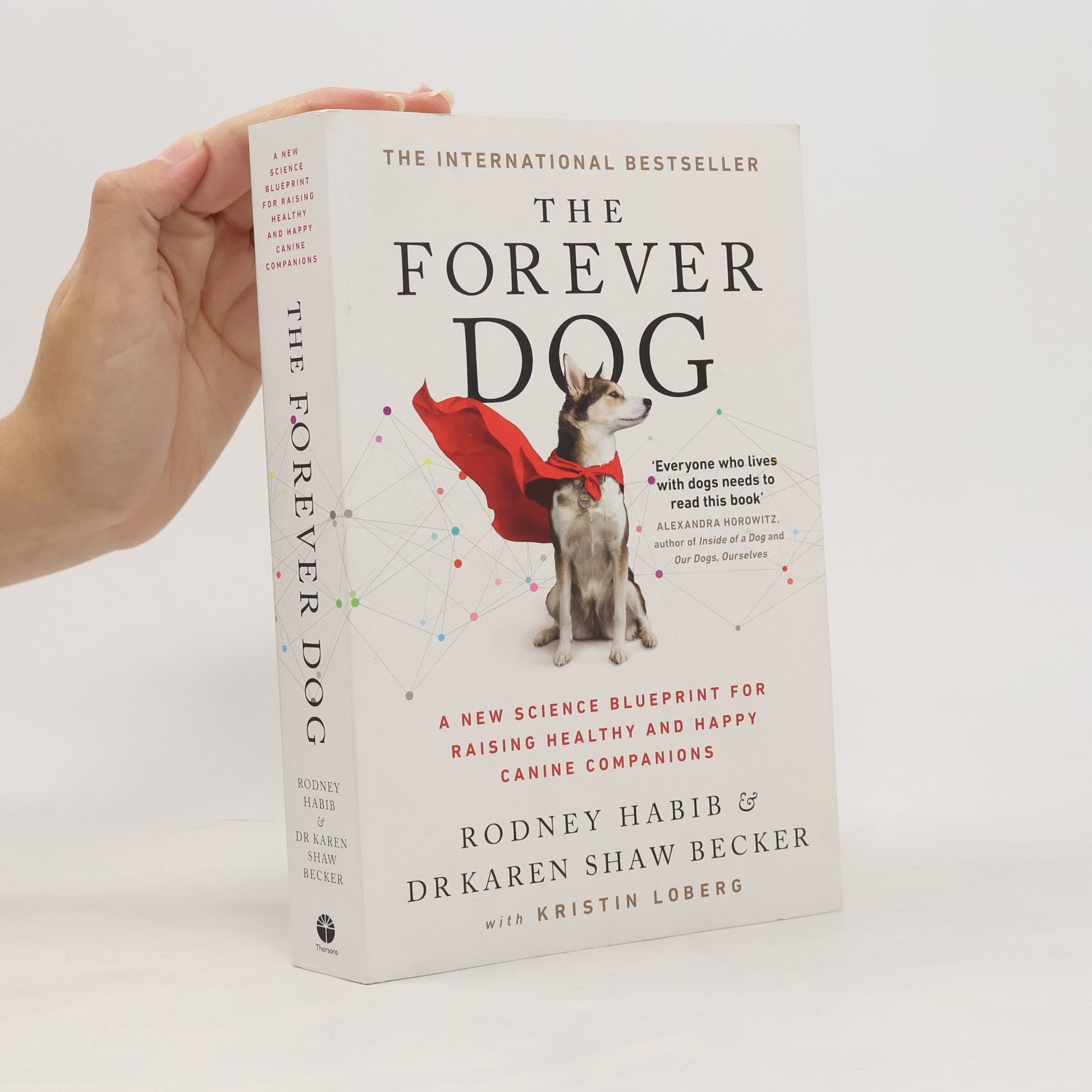 The Forever Dog