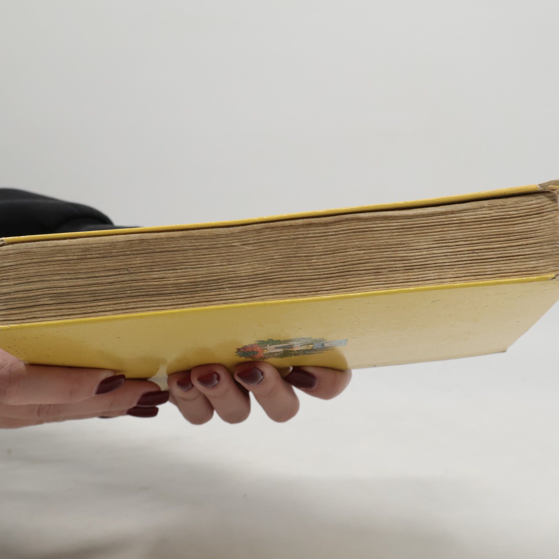 Kolektiv autorů Mein Lesebuch für das 3. und 4. Schuljahr