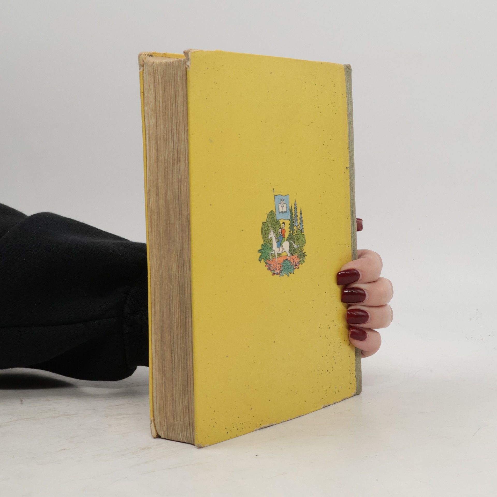 Kolektiv autorů Mein Lesebuch für das 3. und 4. Schuljahr