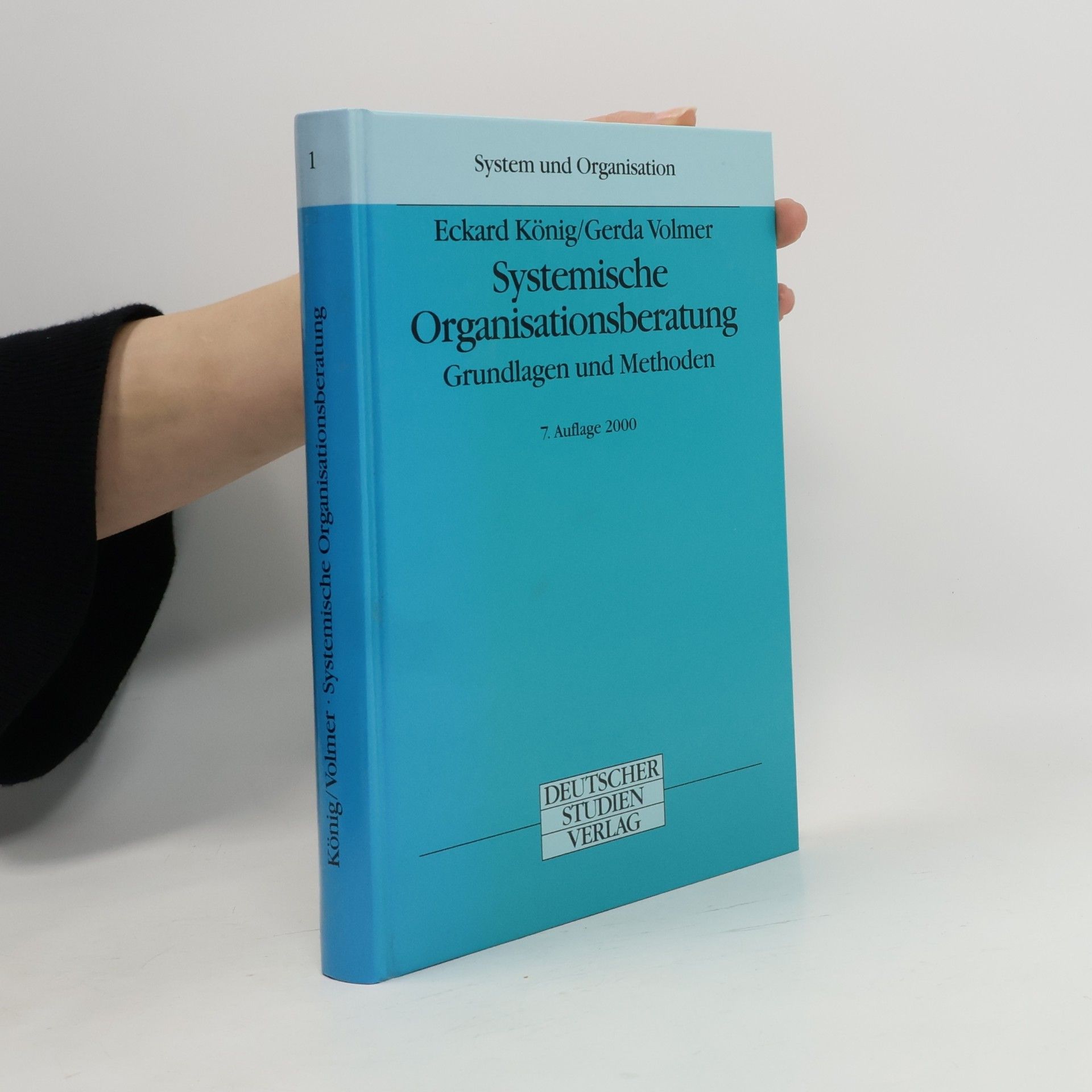 Systemische Organisationsberatung