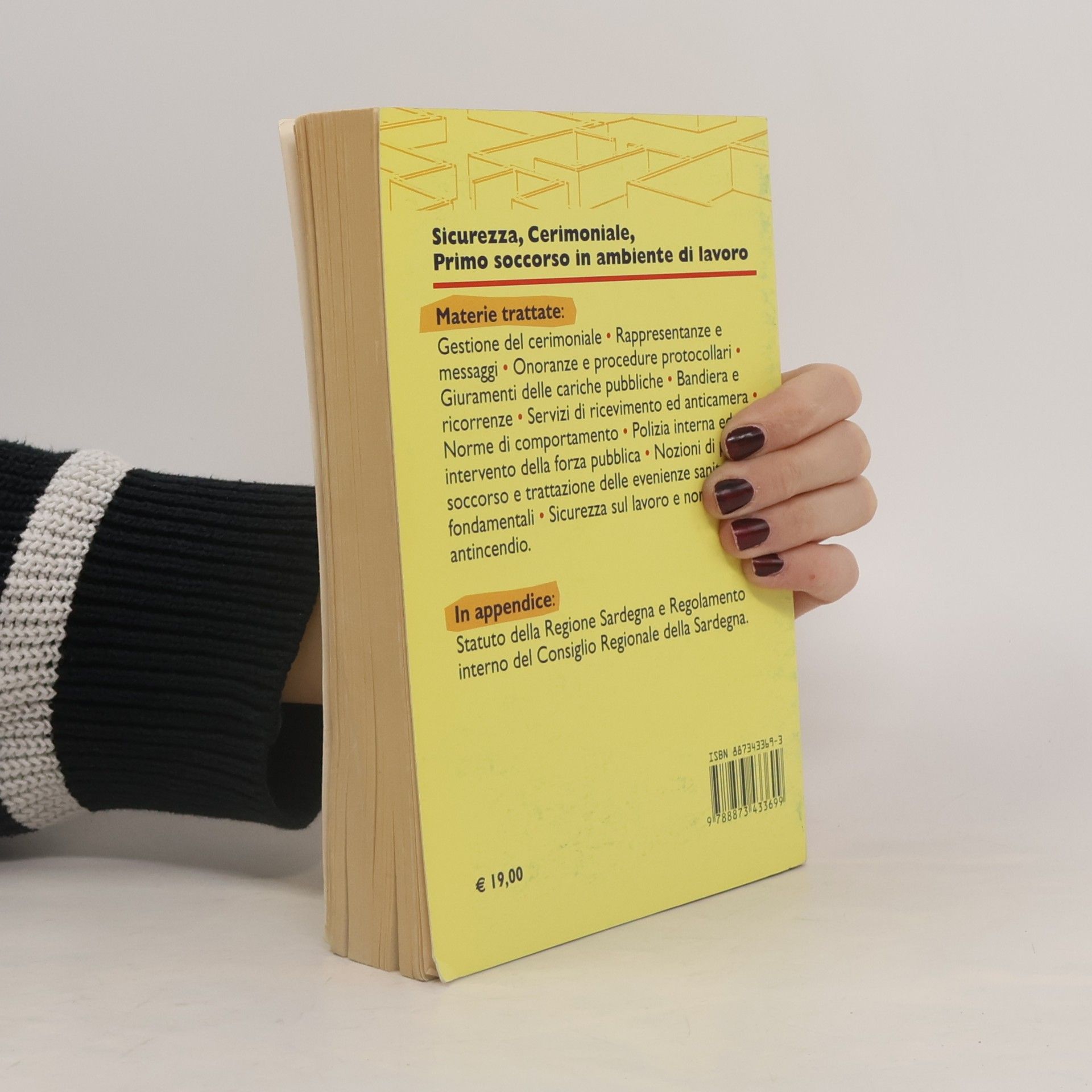Sicurezza, cerimoniale, primo soccorso in ambiente di lavoro. Manuale specifico e completo per la preparazione ai concorsi per commessi, assistenti d'aula ed autisti indetti dal Consiglio Regionale della Sardegna