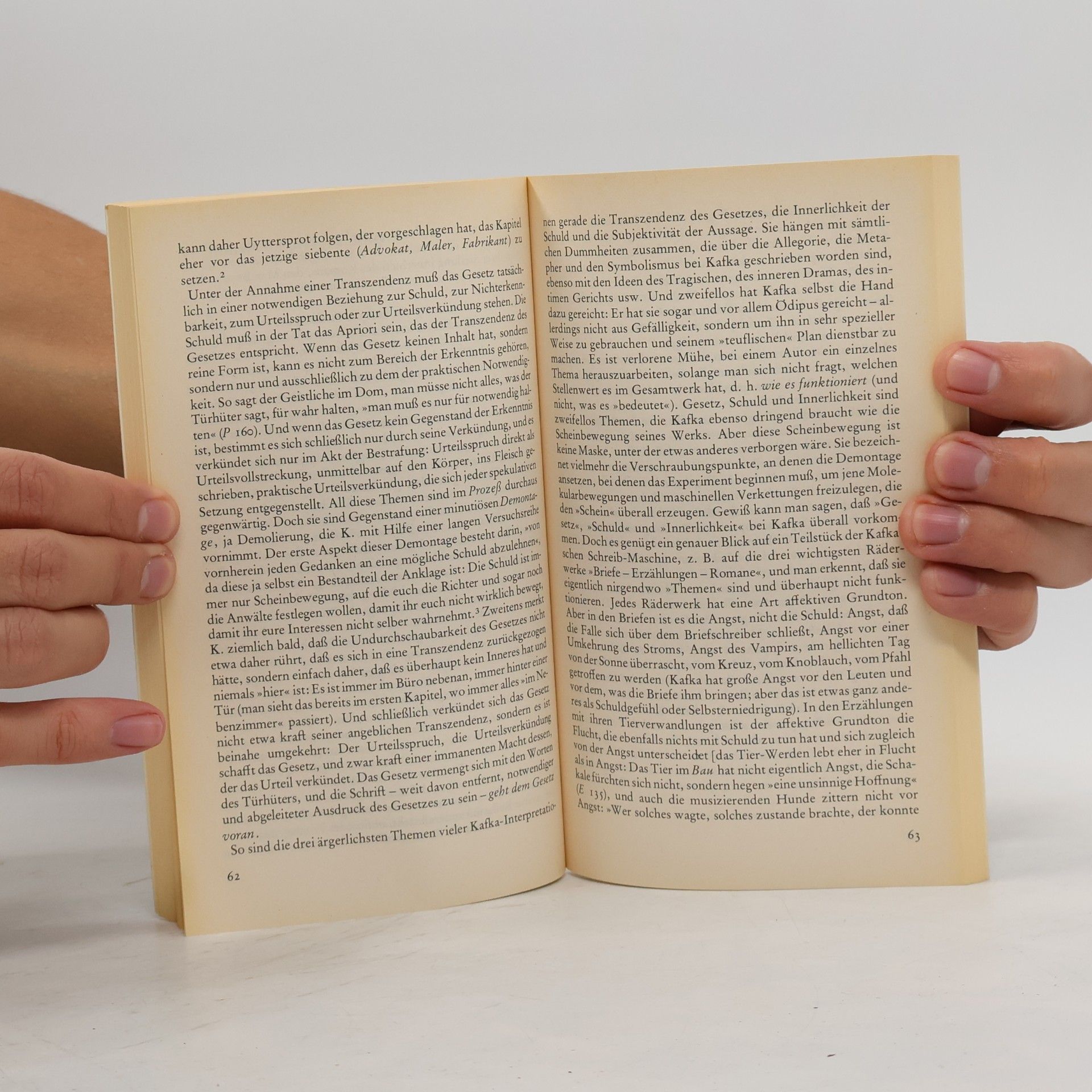 Gilles Deleuze Kafka, für eine kleine Literatur