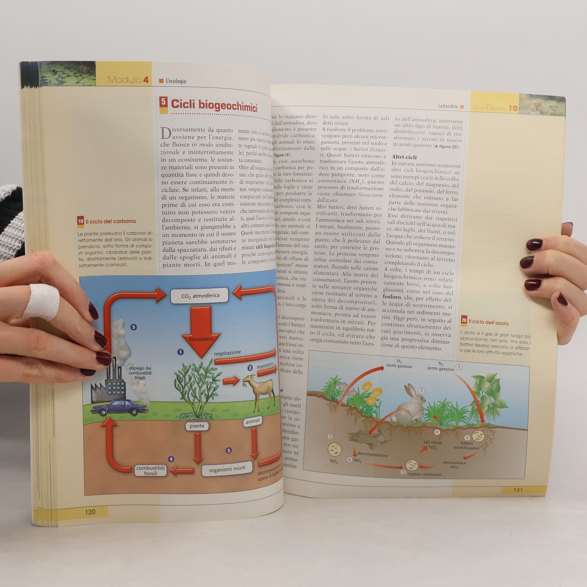 Stefano Zanoli Scienze della natura