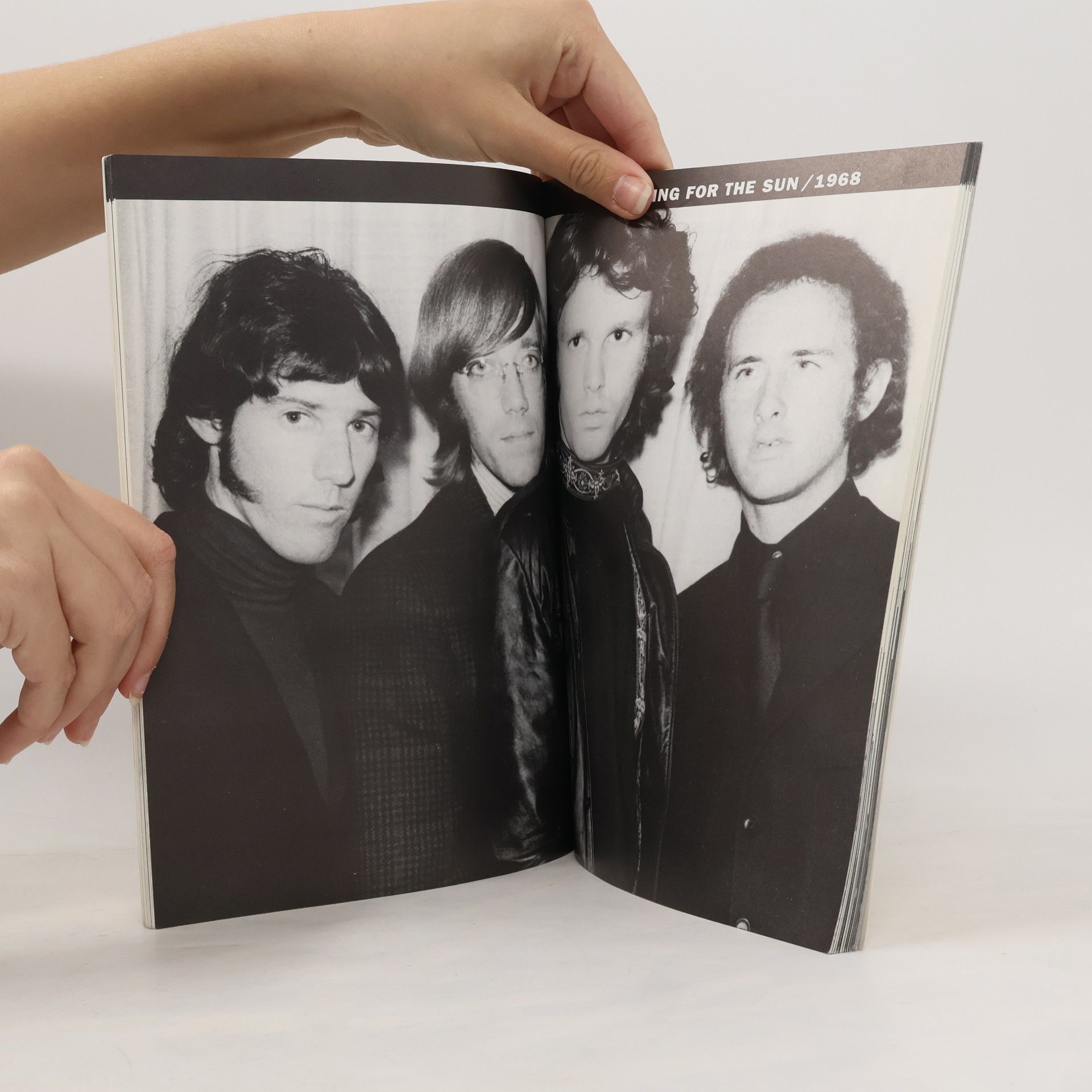 Collectif d'auteurs The Doors : lyrics 1965-1971
