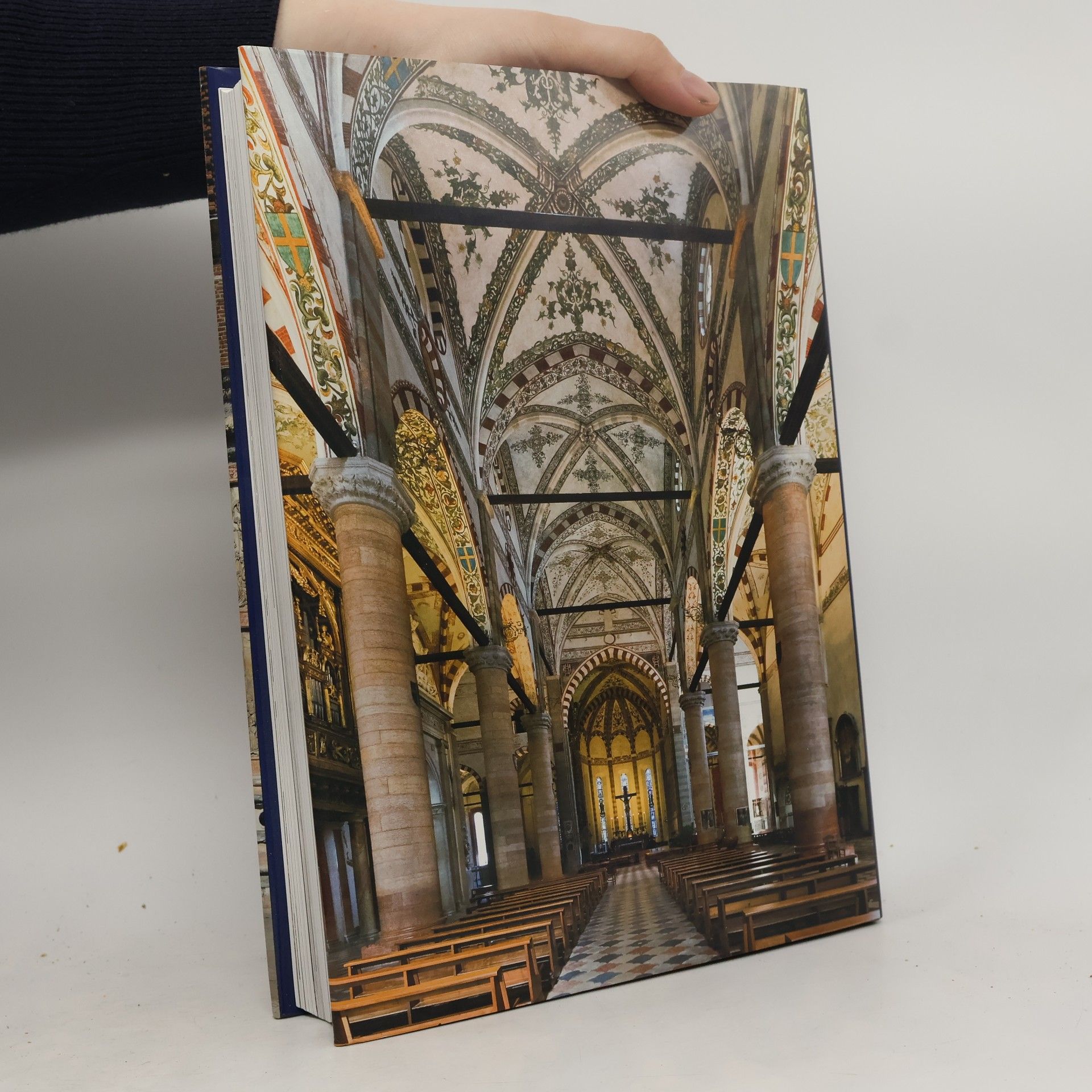 Mauro Fiorese La Basilica di Santa Anastasia a Verona