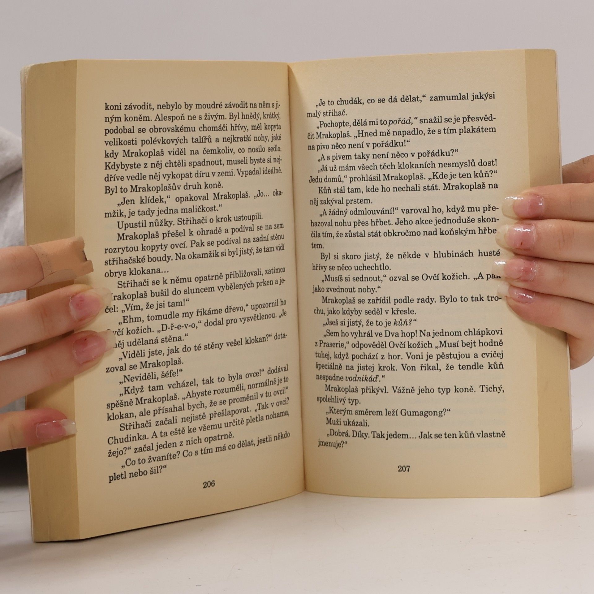 Terry Pratchett Poslední kontinent