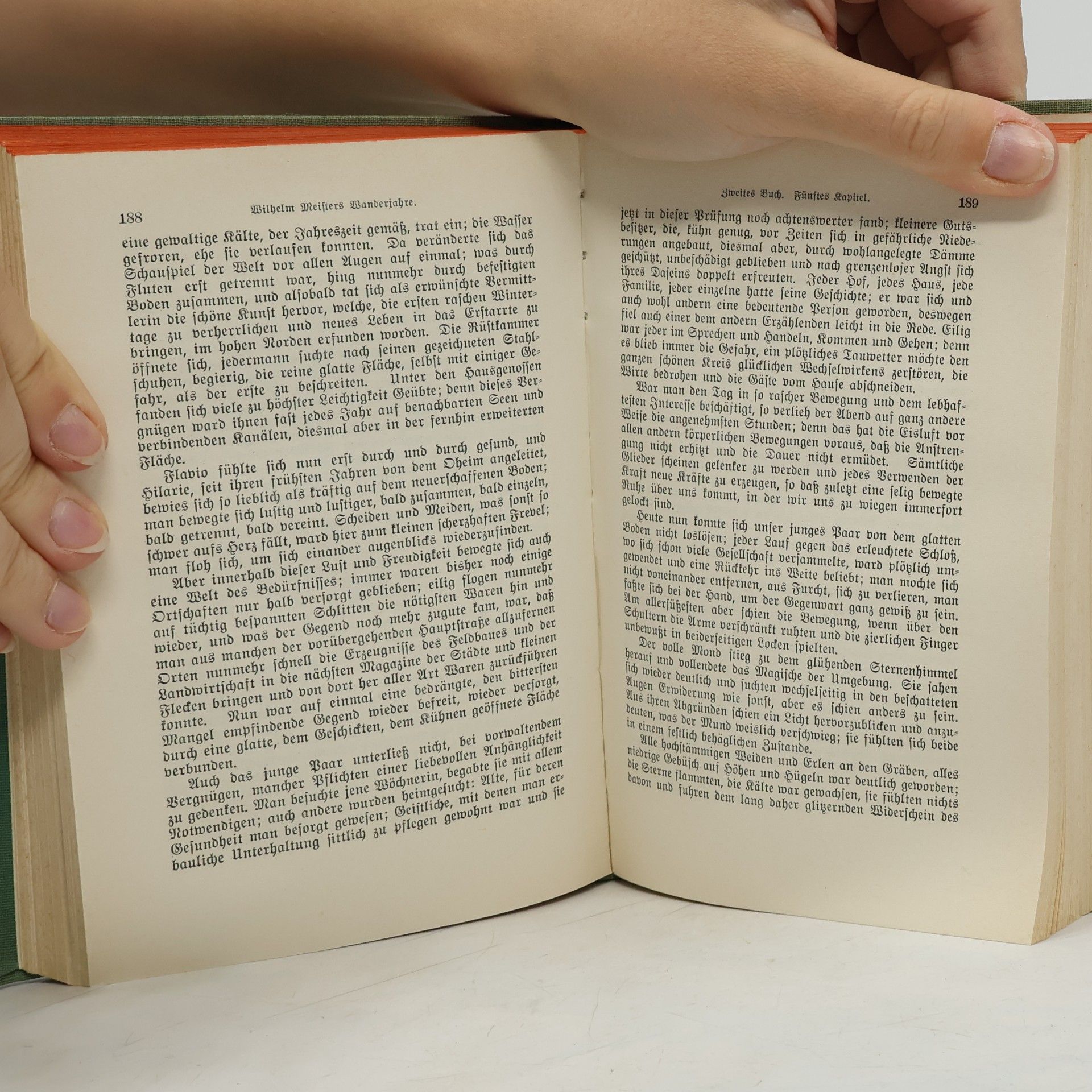 Johann Wolfgang von Goethe Goethes Werke: Wilhelm Meisters Wanderjahre oder Die Entsagenden. Erstes und zweites Buch