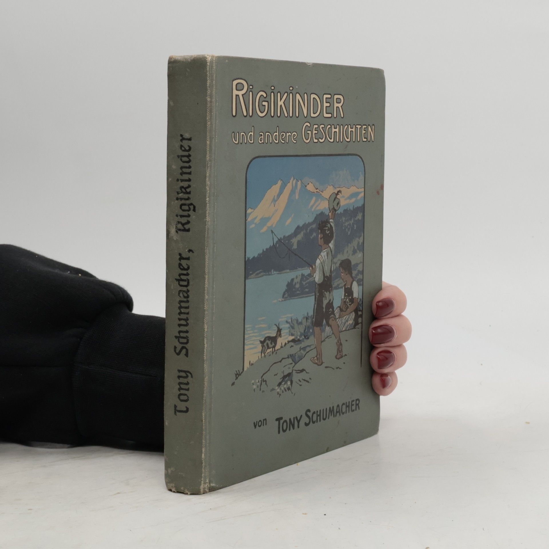Rigikinder und andere geschichten