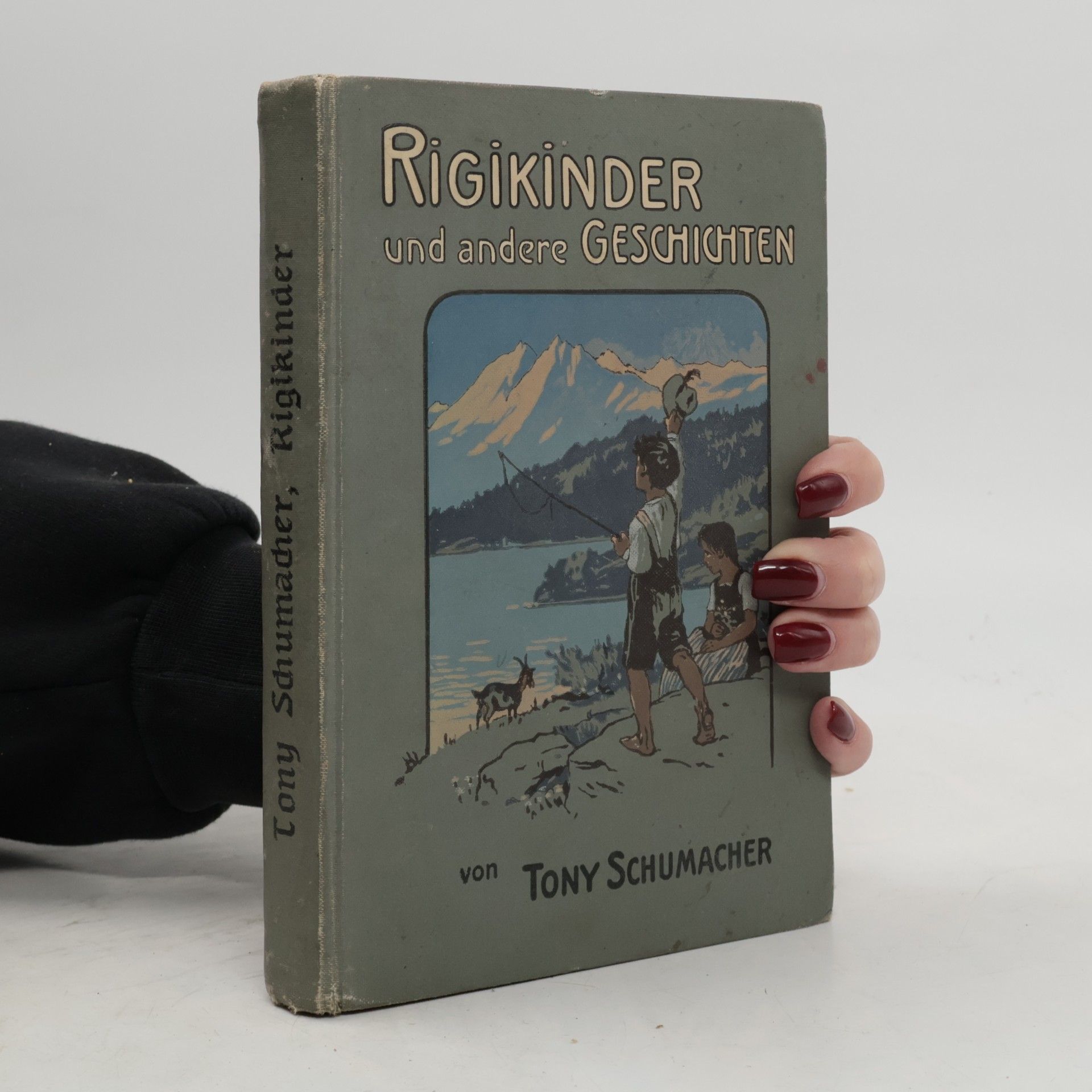 Tony Schumacher Rigikinder und andere geschichten