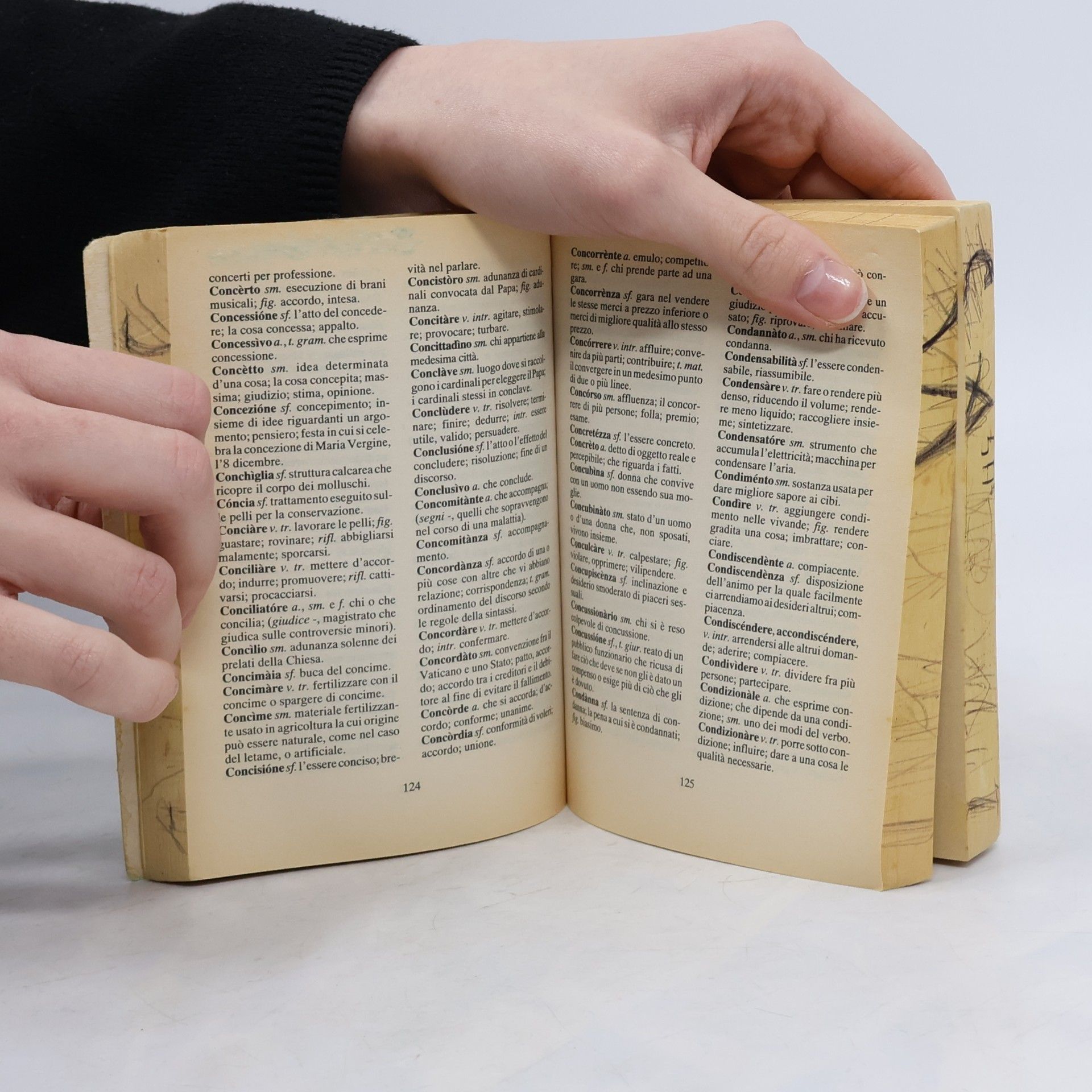 kolektiv Dizionario della lingua Italiana