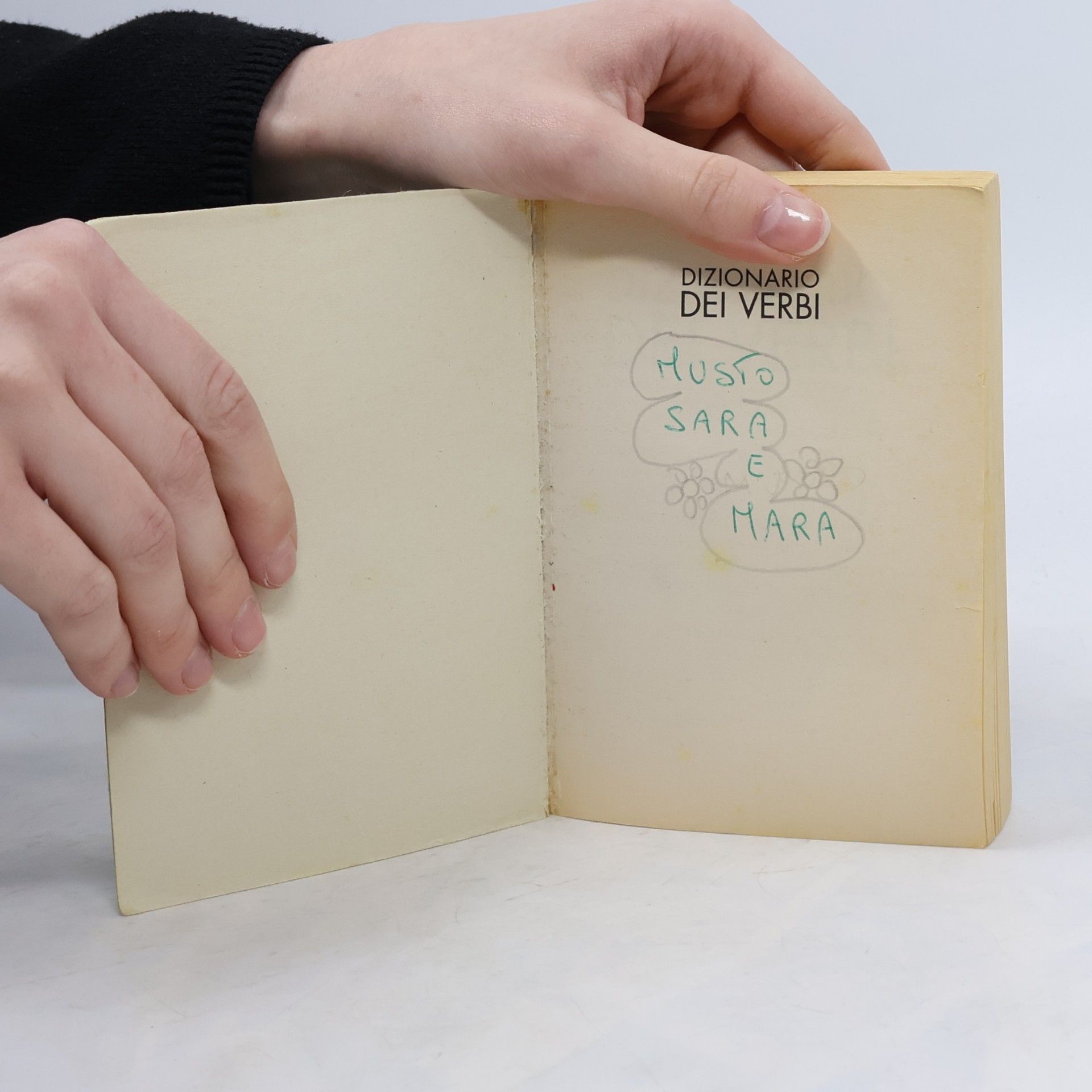 Various authors Dizionario dei verbi