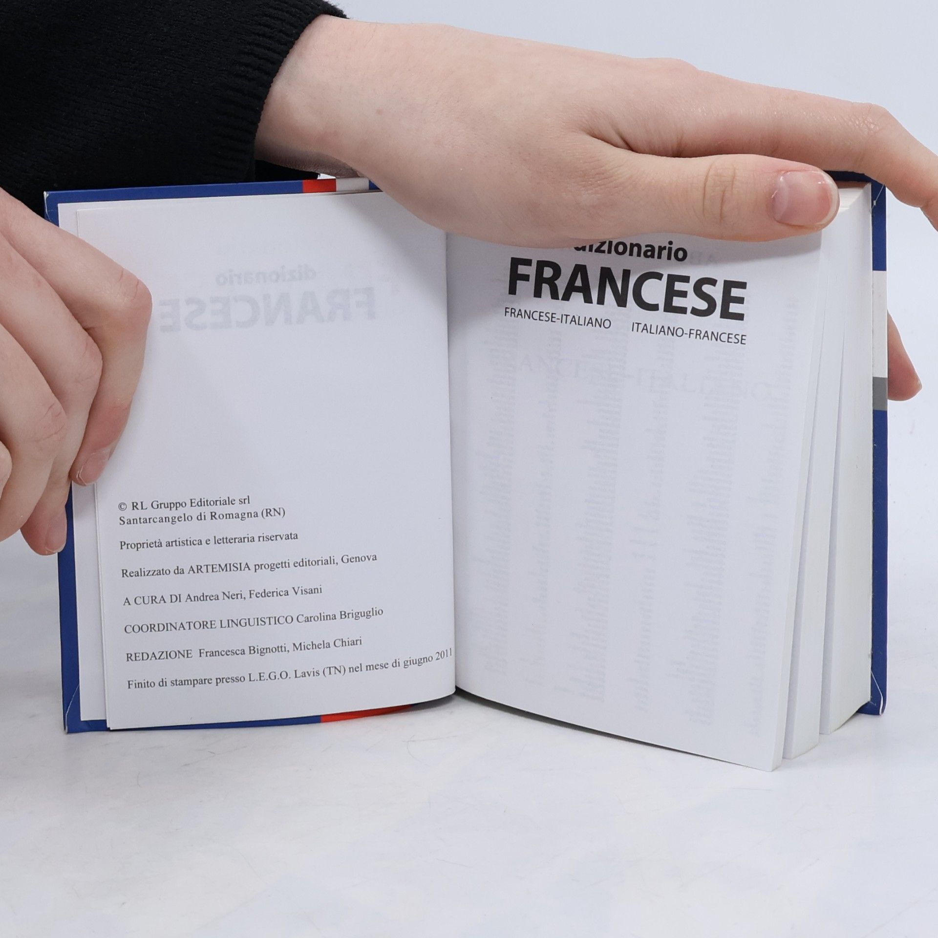 Dizionari tascabili: Dizionario francese