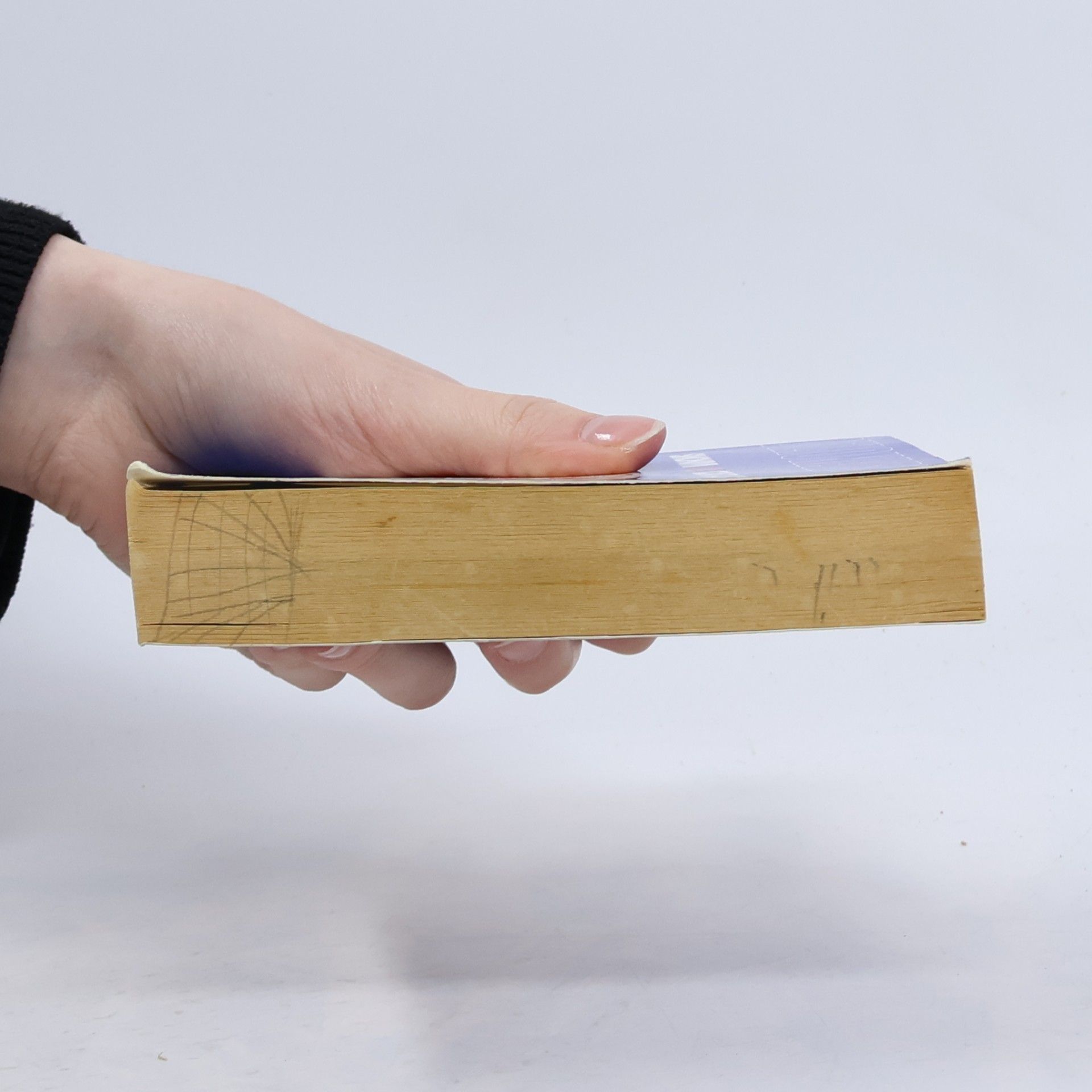 AA.VV. Dizionario