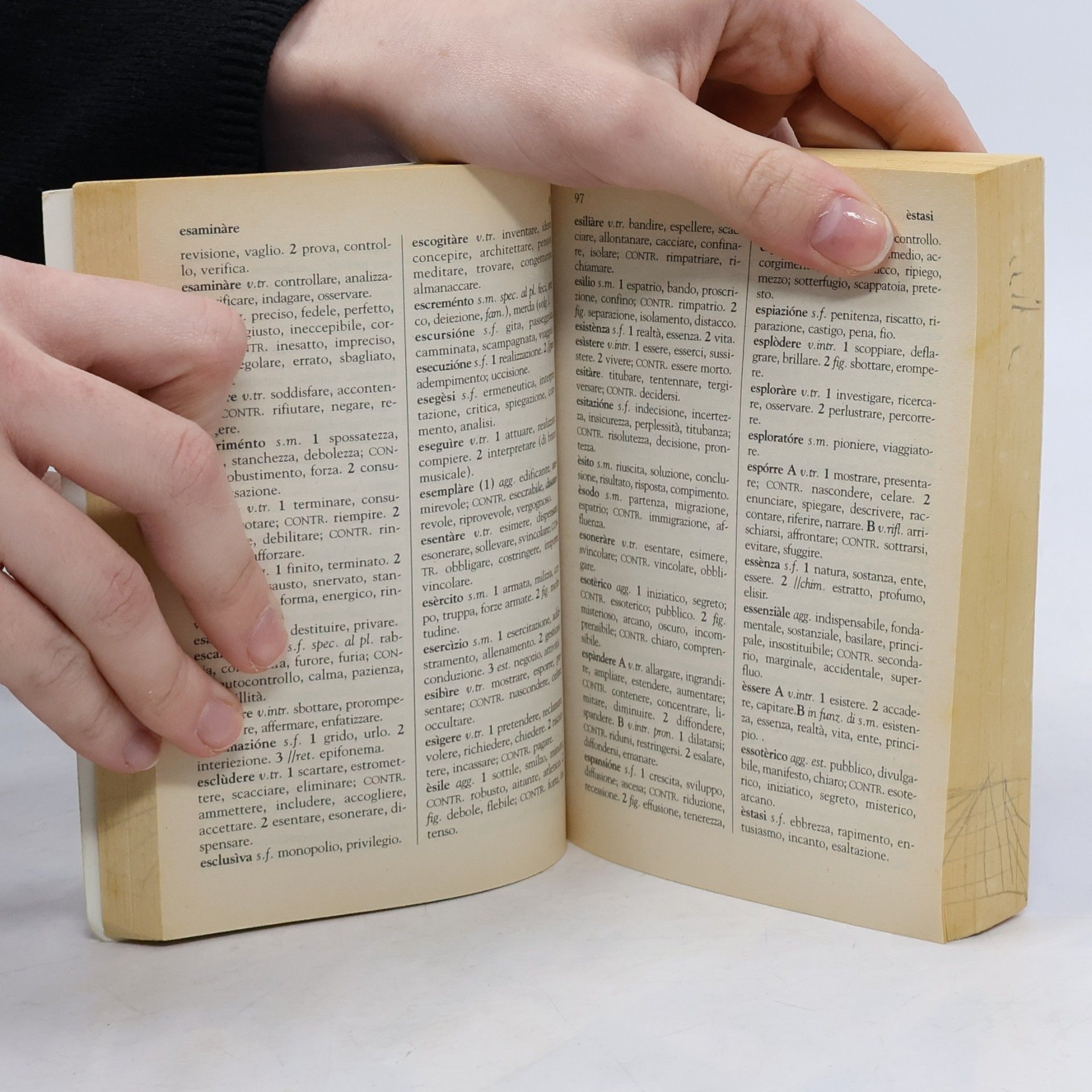 AA.VV. Dizionario
